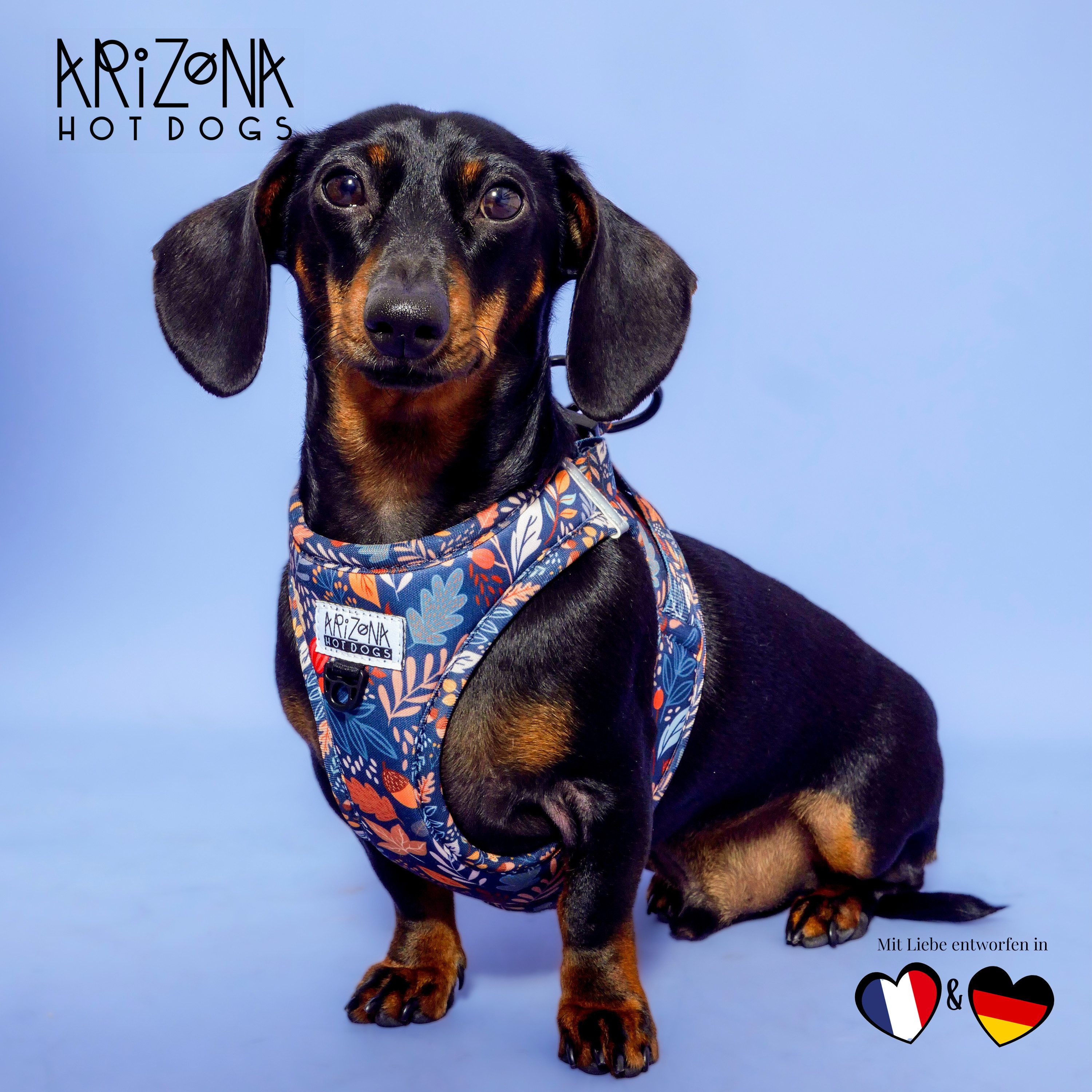 ARIZONA HOT DOGS Hunde-Geschirr Step-In Neopren, Arizona Hotdogs Hundegeschirr Fall in Love, XL