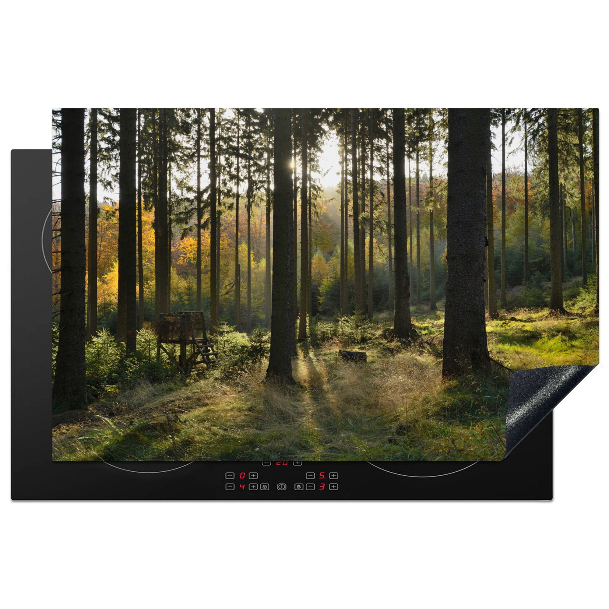 MuchoWow Herdblende-/Abdeckplatte Wald - Sommer - Sonne, Vinyl, (1 tlg), 81x52 cm, Induktionskochfeld Schutz für die küche, Ceranfeldabdeckung