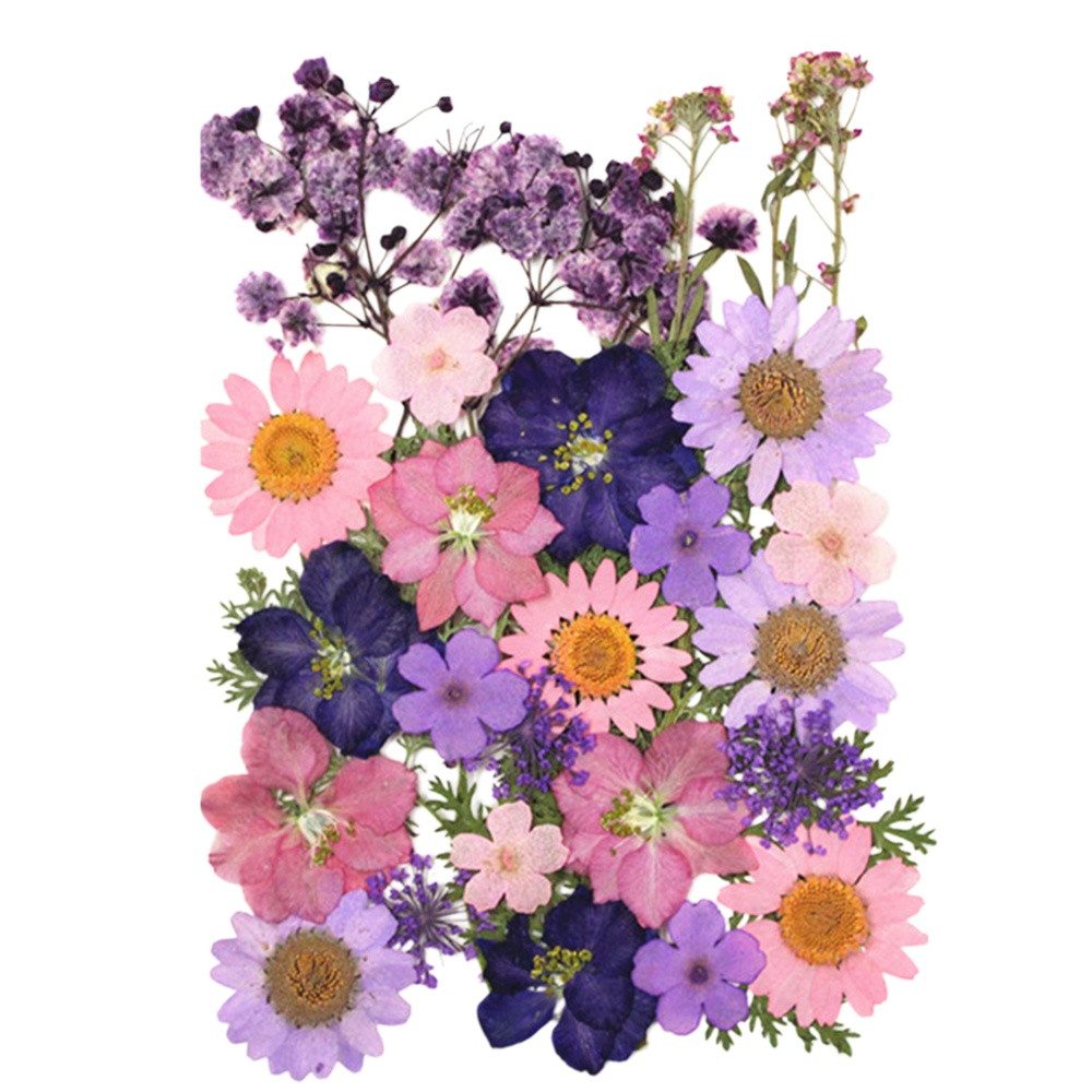 Trockenblume Gepresste Blumen, Getrocknete Blumen, DIY Getrocknete Blüten, Agger, für DIY Kerzen Harz Schmuck Anhänger Scrapbooking-Dekorationen