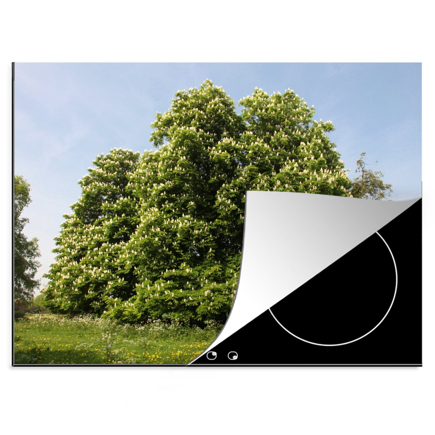 Arbeitsfläche Vinyl, MuchoWow Ein cm, England, Mobile Ceranfeldabdeckung Herdblende-/Abdeckplatte Kastanienbaum im (1 Frühling tlg), 70x52 nutzbar, in