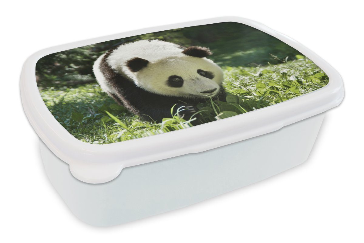 Super günstig & neu! MuchoWow Lunchbox Panda - Gras und weiß Jungs und Kinder Erwachsene, Brotbox für Kunststoff, (2-tlg), Brotdose, Tier, für Mädchen 