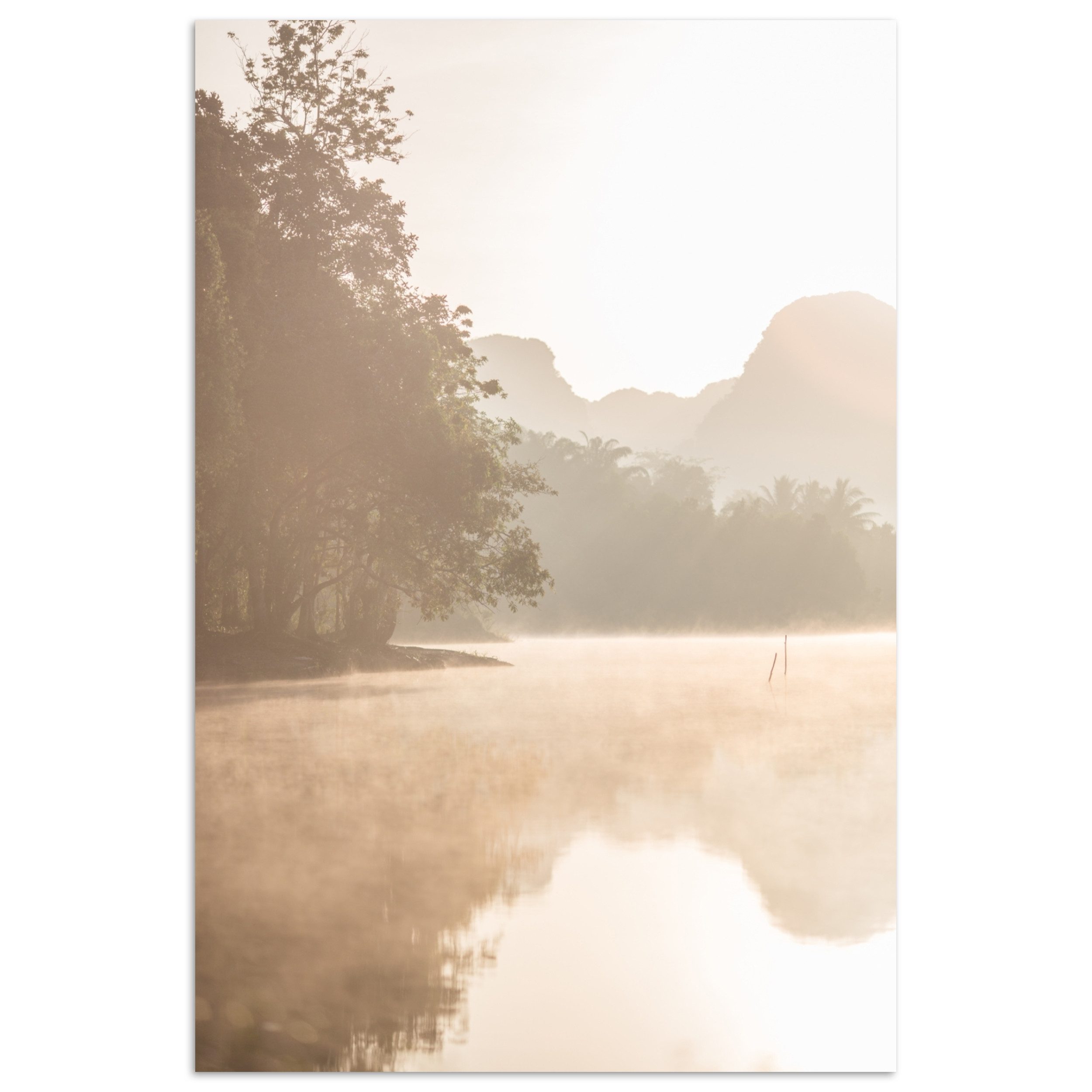 MuchoWow Poster Landschaft - Wald - Wasser - Nebel - Beige, (1 St), Poster ohne Rahmen, Wandbild, Wandposter, 20x30 cm