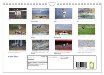 CALVENDO Wandkalender Fauna arctica (Wandkalender 2025 DIN A4 quer), CALVENDO Monatskalender