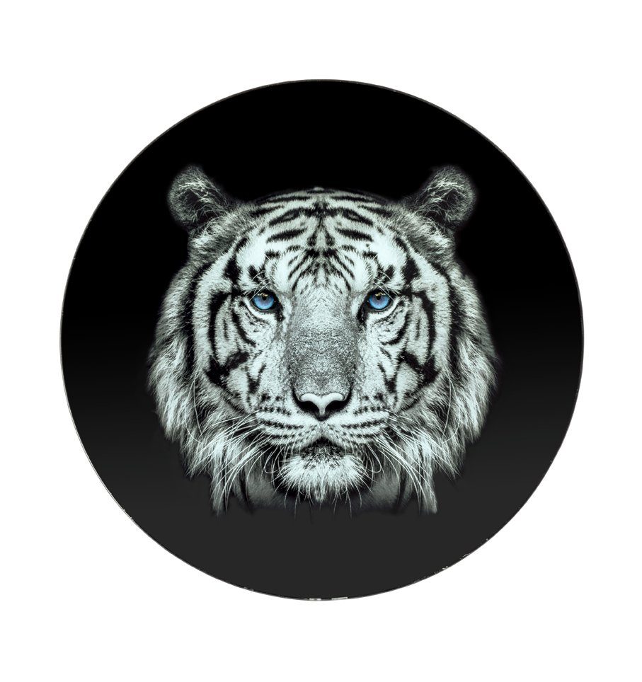 Beistelltisch aus Sicherheitsglas möbelando Ablage in Stahlrohr Beistelltisch Motivdruck mit Tiger, aus (Tiger) schwarz lackiert,