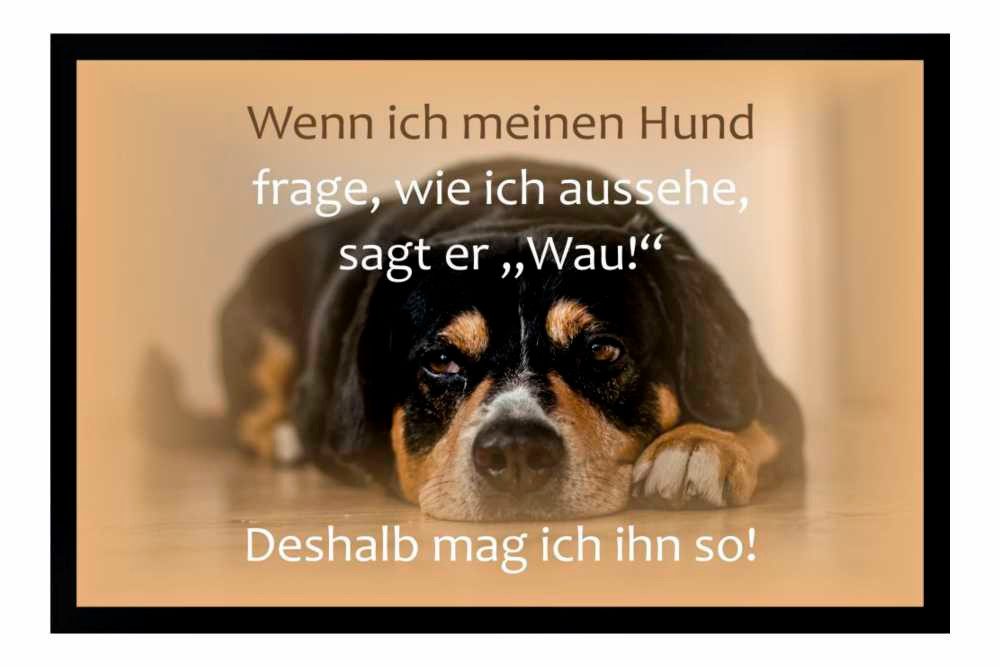 Ladreas Fußmatte Schmutzfangmatte Hund Wau Aussehen rutschfest F1095, 60x40