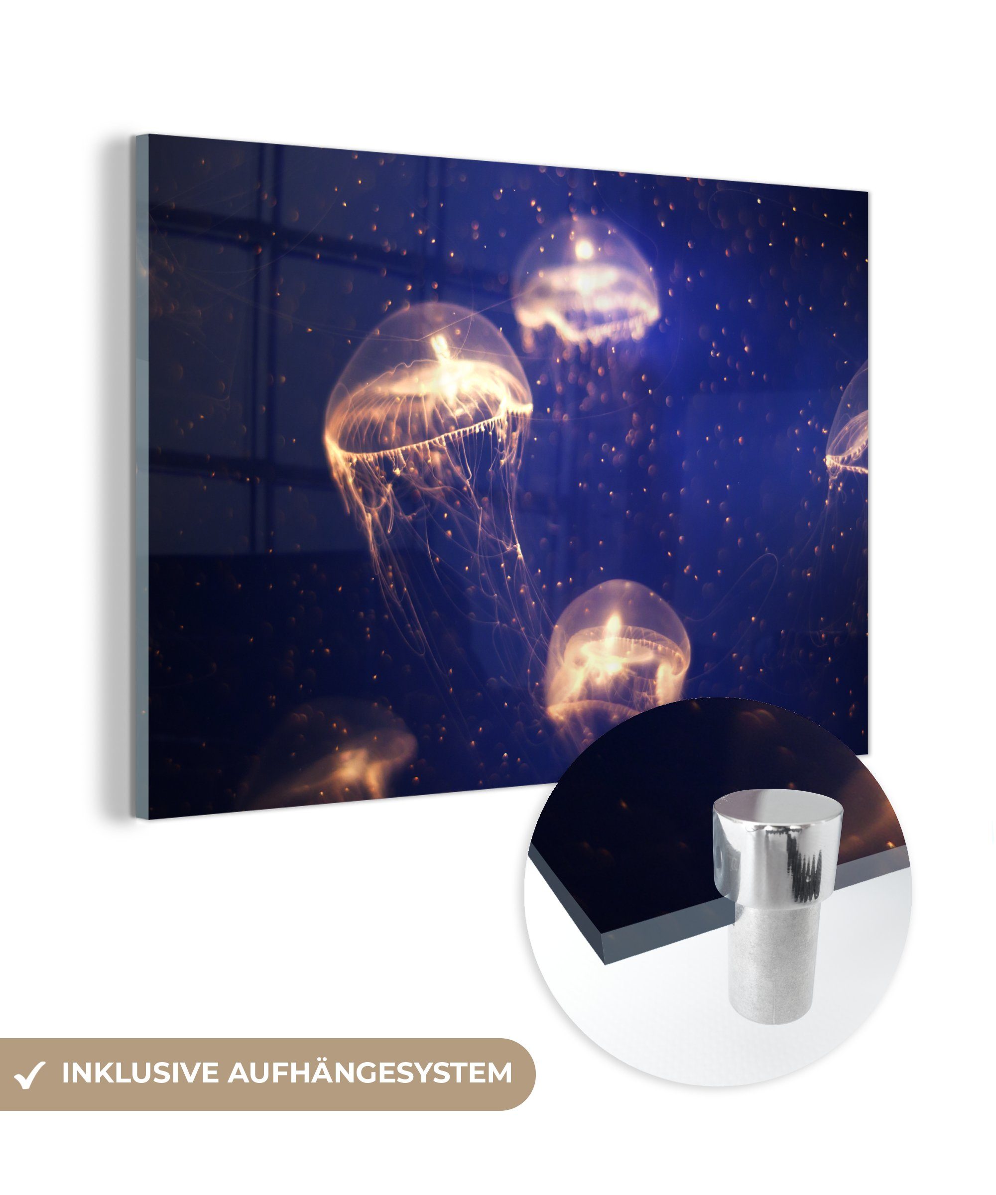 MuchoWow Acrylglasbild Qualle - Licht - Meer, (1 St), Acrylglasbilder Wohnzimmer & Schlafzimmer