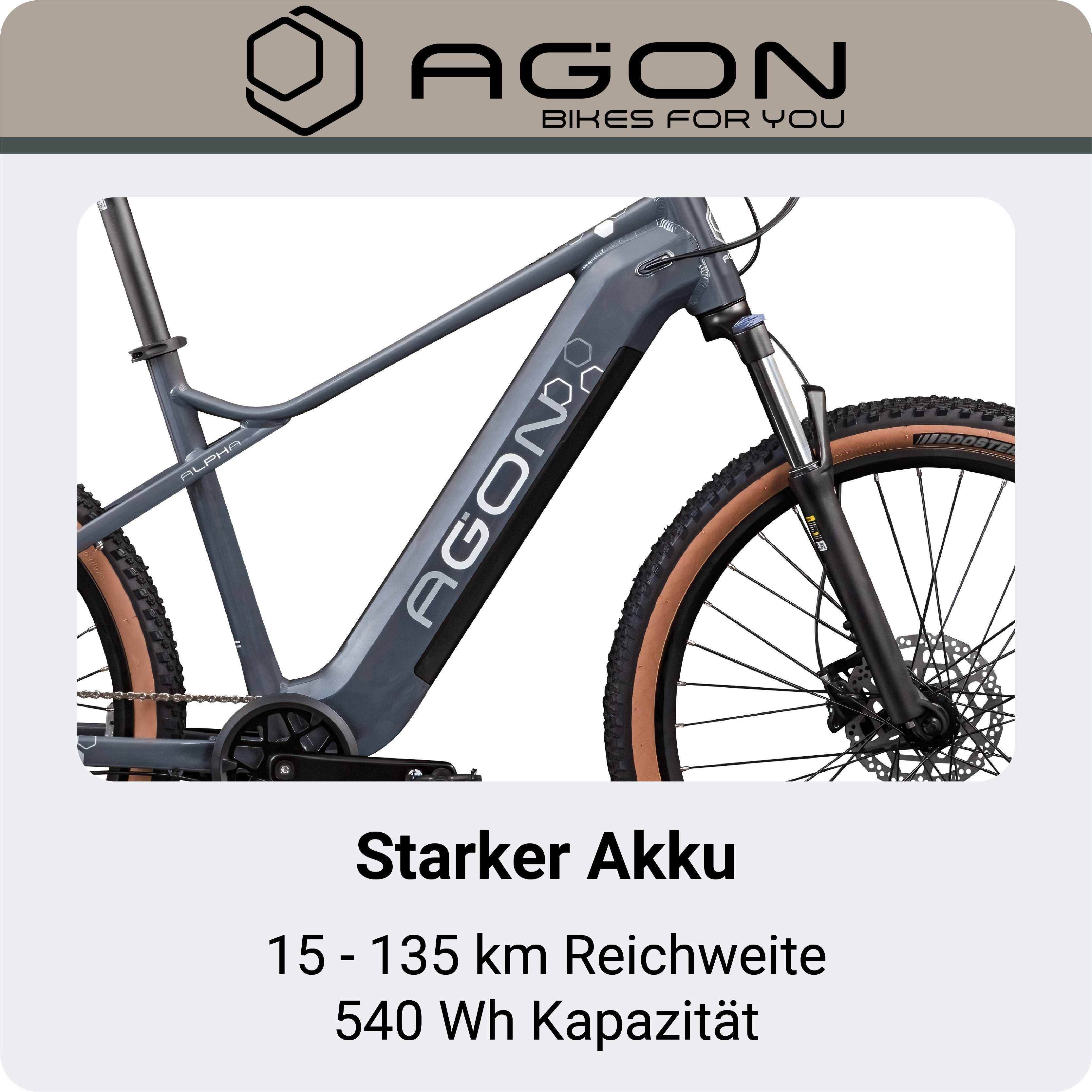 AGON E-Bike Mountainbike Alpha, 10 Gang Shimano Deore SGS T6000 Schaltwerk, Kettenschaltung, Heckmotor, 540 Wh, Pedelec, Elektrofahrrad für Damen u. Herren, MTB