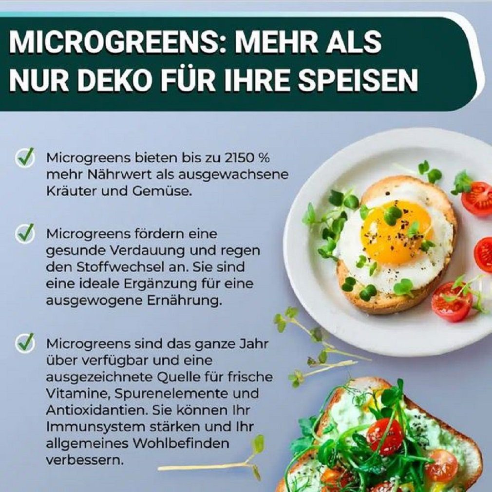 Kräutertopf Soil OraGarden (6 div. Superfood Kräuter-Saatpads MicroGreens Stück) Sorten -