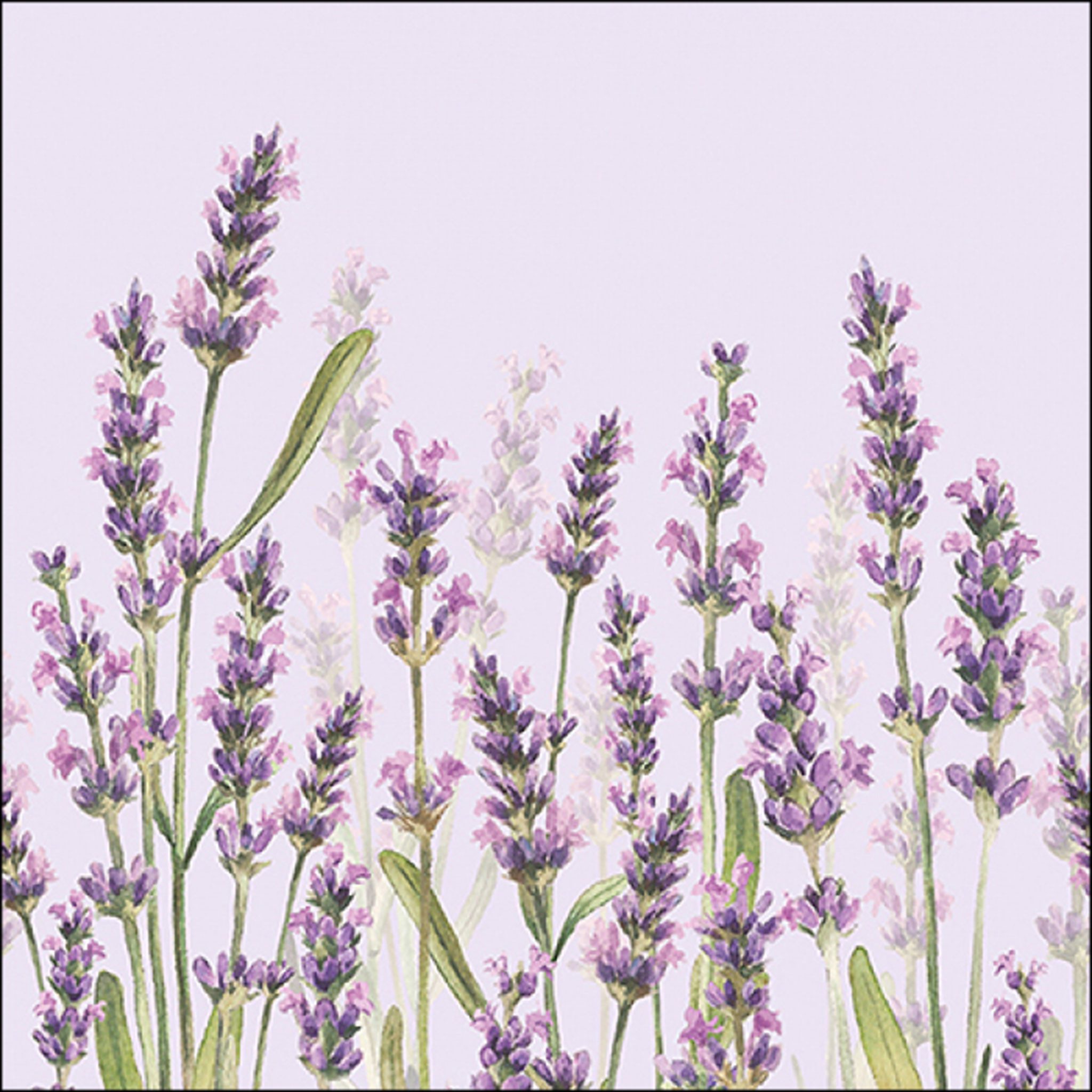 Ambiente Luxury Paper Products Papierserviette, Servietten Papier 33x33cm 3-lag mit Aquarell Lavendel Motiv 20 Stk