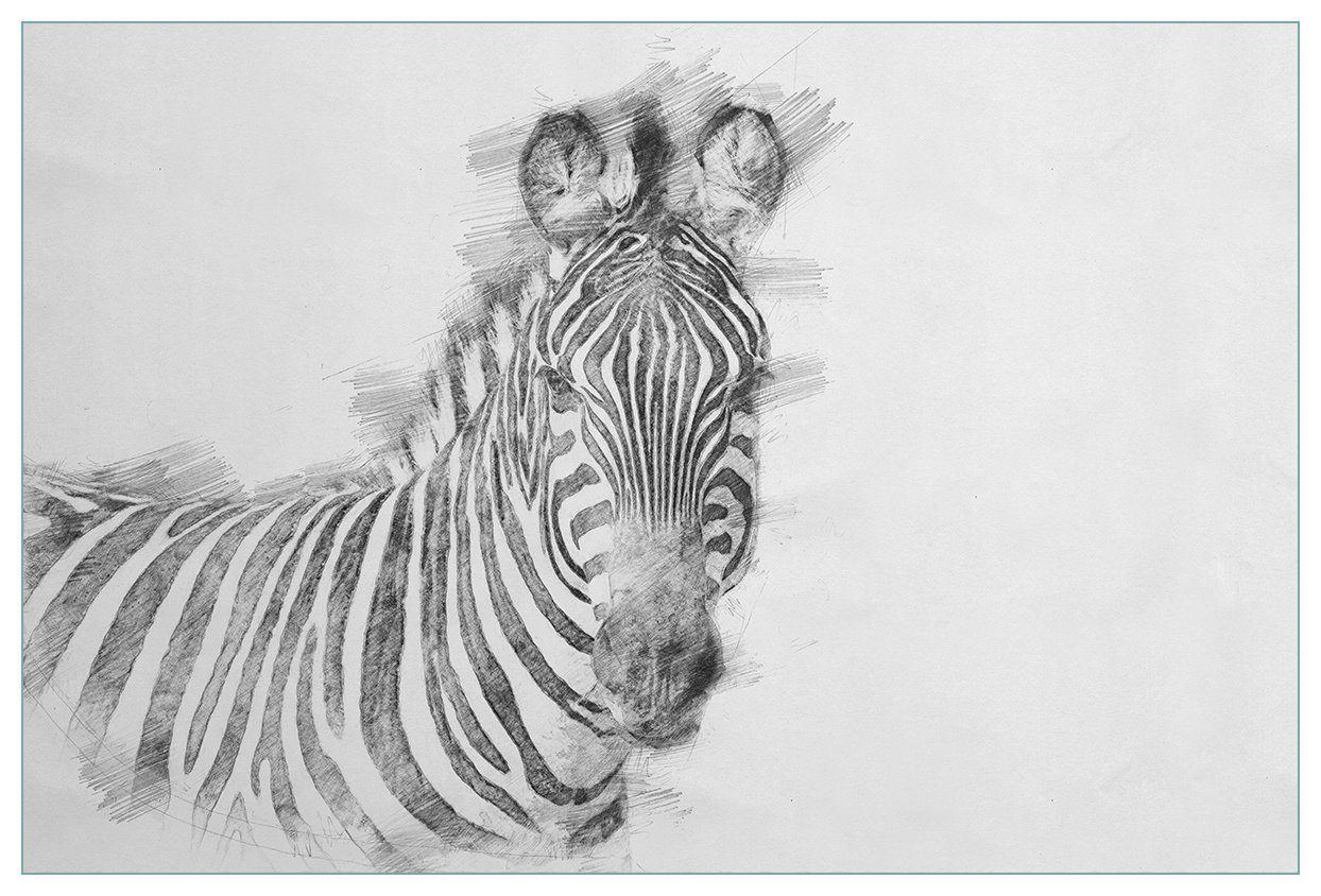 Wallario Küchenrückwand Zebra in schwarz weiß - Bleistift Zeichnung, (1-tlg)