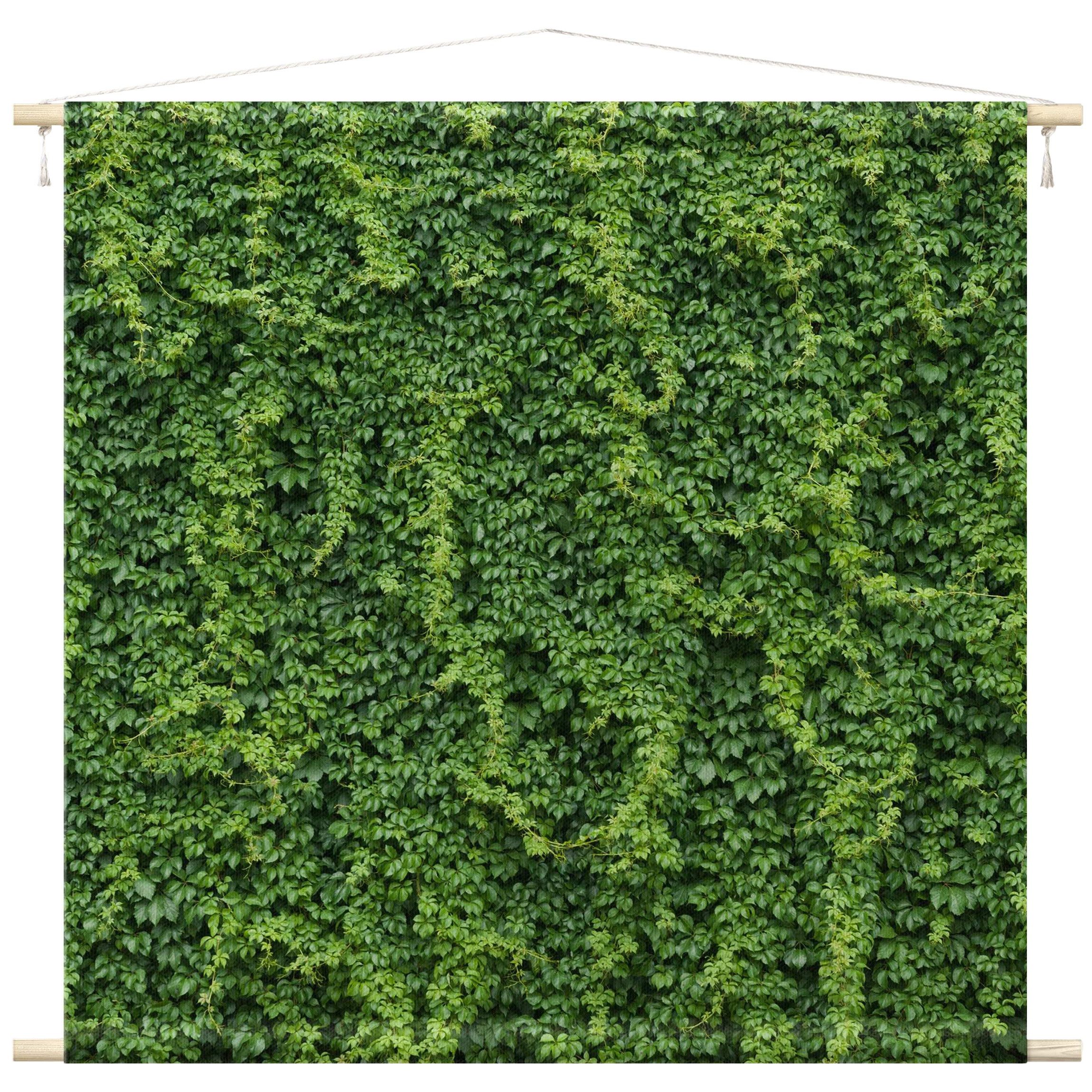 Bilderdepot24 Wandteppich modern Blumen Botanik Efeu grün, quadratisch, Höhe: 2.6 mm, großes Wandbild aus Natur-Baumwolle Wandbehang Stoffbild Tuch Wollseil