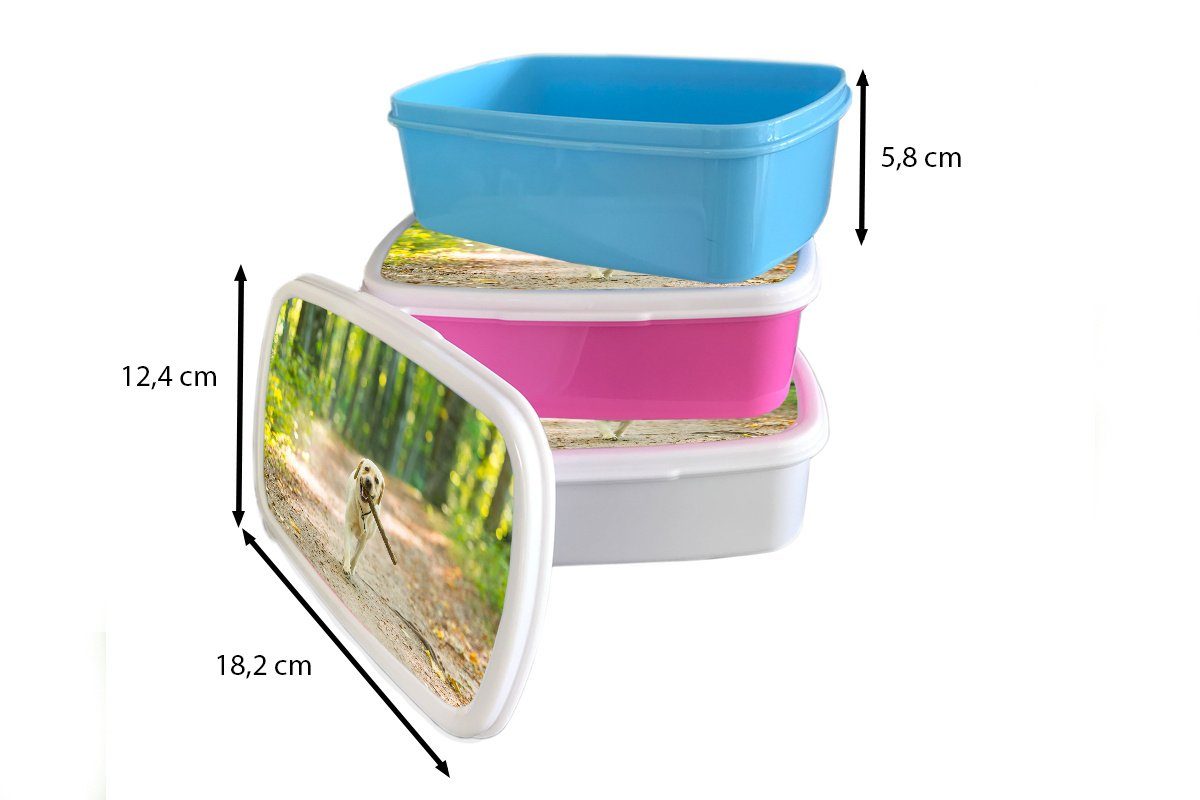 Brotbox (2-tlg), Kinder Erwachsene, und Kunststoff, für Jungs für weiß MuchoWow Wald Brotdose, - Mädchen Bäume, - Hund Lunchbox und
