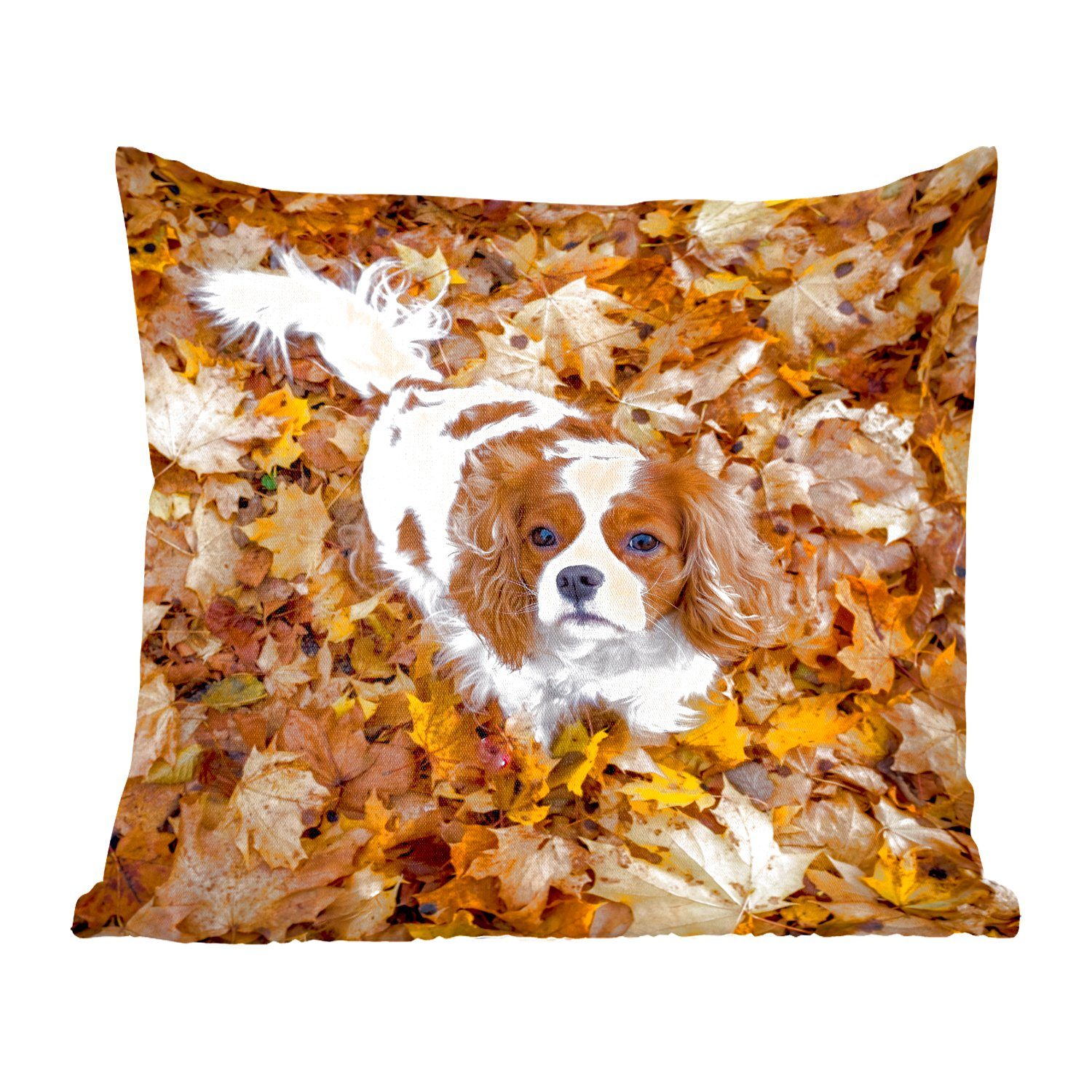 MuchoWow Dekokissen Cavalier King Charles Spaniel unter dem Herbstlaub, Zierkissen mit Füllung für Wohzimmer, Schlafzimmer, Deko, Sofakissen