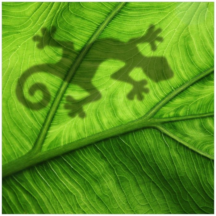 Wallario Möbelfolie Gecko Schatten auf grünem Blatt - Umriss