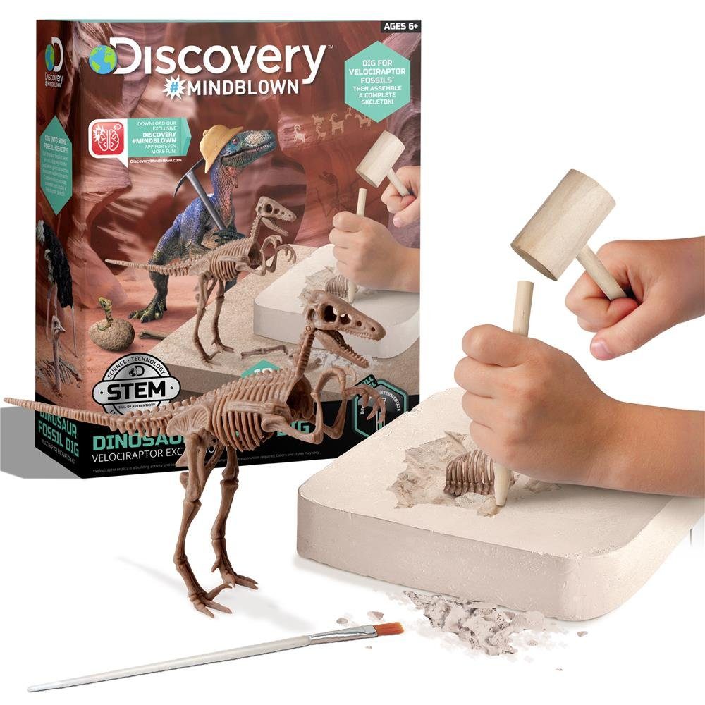 Discovery Lernspielzeug Mindblown Dinosaurier Fossil Ausgrabungsset Velociraptor, Skelett für Kinder ab 6 Jahren