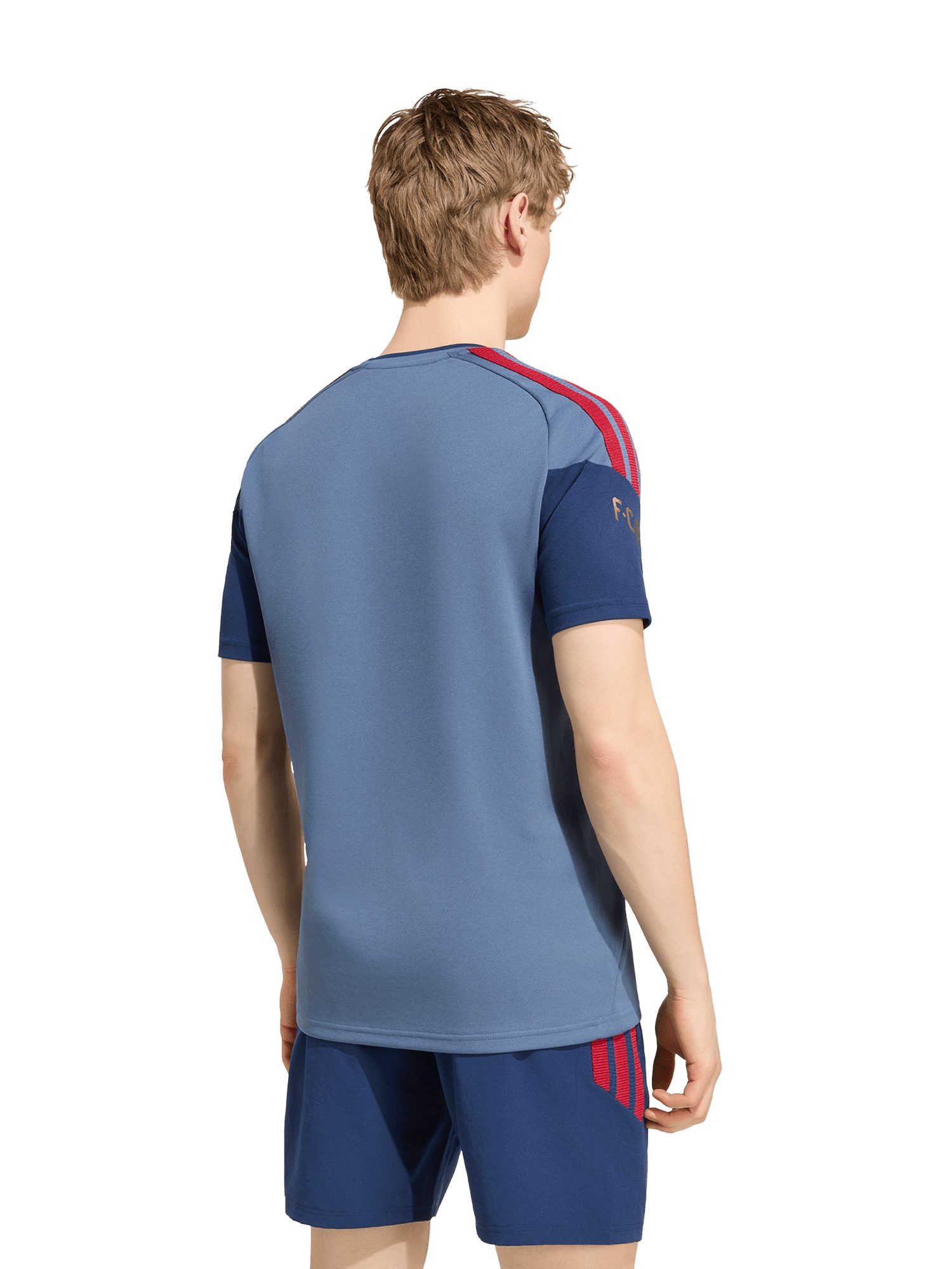 adidas Performance T-Shirt FC Bayern München, Authentic T-Shirt Teamline, Herren, Blau