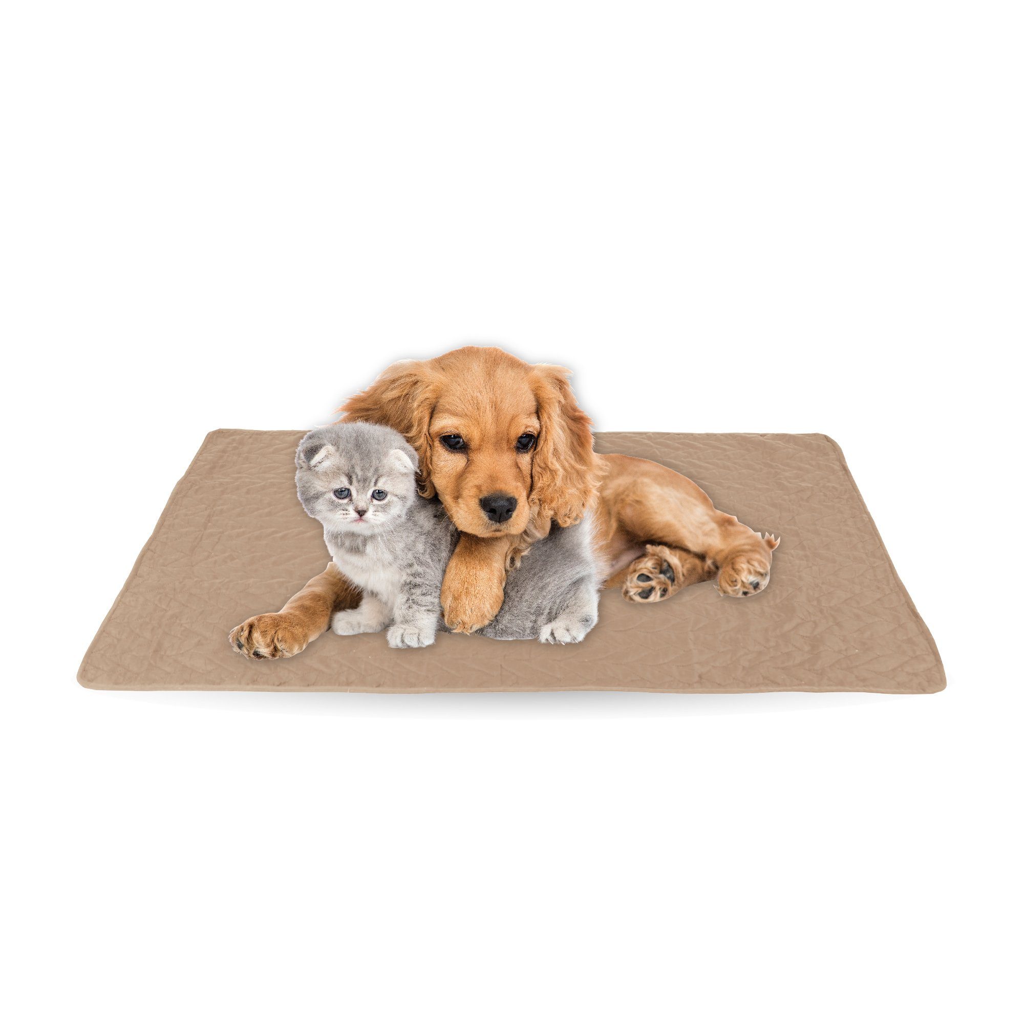 Bestlivings Tierdecke gesteppte Haustierdecke S-XL, Polyester, günstig online kaufen