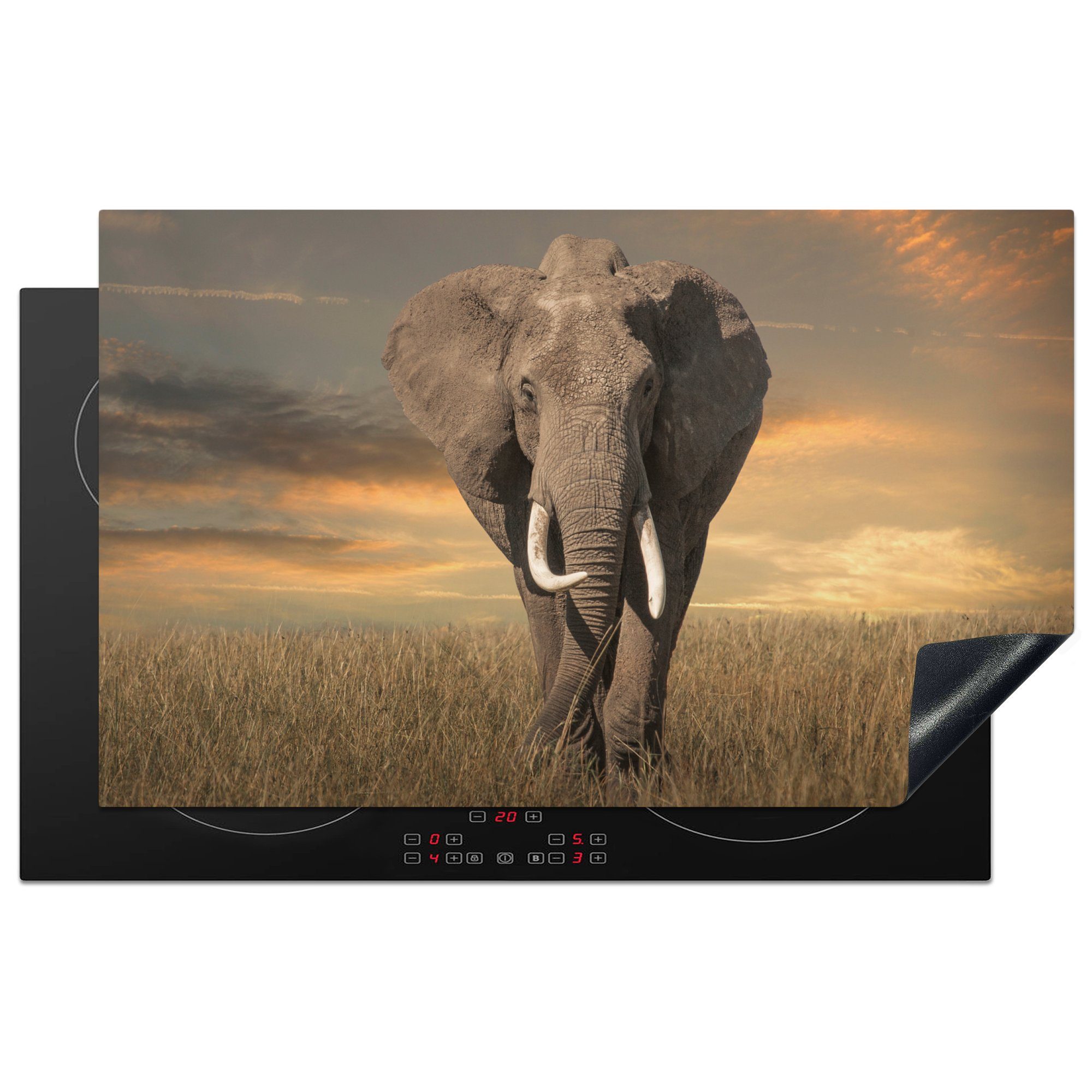 MuchoWow Herdblende-/Abdeckplatte Elefant - Tiere - Gras - Natur, Vinyl, (1 tlg), 83x51 cm, Ceranfeldabdeckung, Arbeitsplatte für küche
