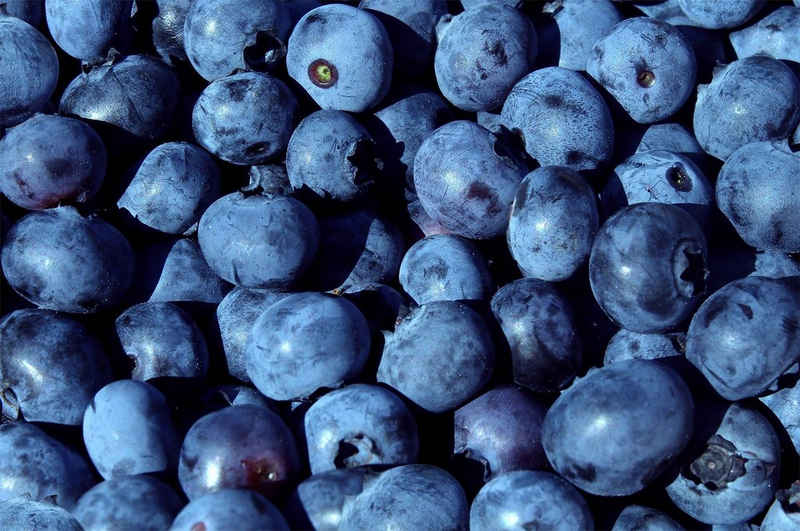 WandbilderXXL Fototapete Blaubeeren, glatt, 3D-Optik, Vliestapete, hochwertiger Digitaldruck, in verschiedenen Größen