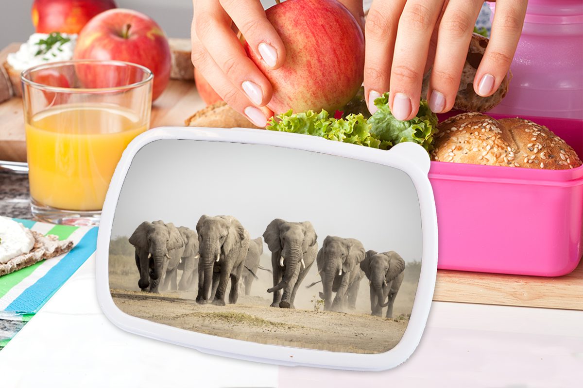 Erwachsene, Brotdose für rosa Kinder, Elefant (2-tlg), Lunchbox Stoff, Kunststoff - Brotbox Afrikanisch Mädchen, Kunststoff, - Snackbox, MuchoWow
