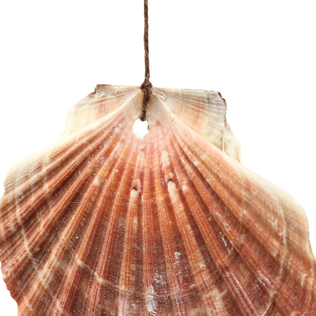 DIJK Bastelnaturmaterial Muschelgirlande Deko Wandschmuck Maritim Sommer L125cm