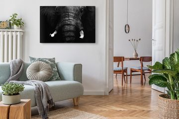 Sinus Art Leinwandbild 120x80cm Wandbild auf Leinwand Tierfotografie Elefant Schwarz Weiß Kun, (1 St)