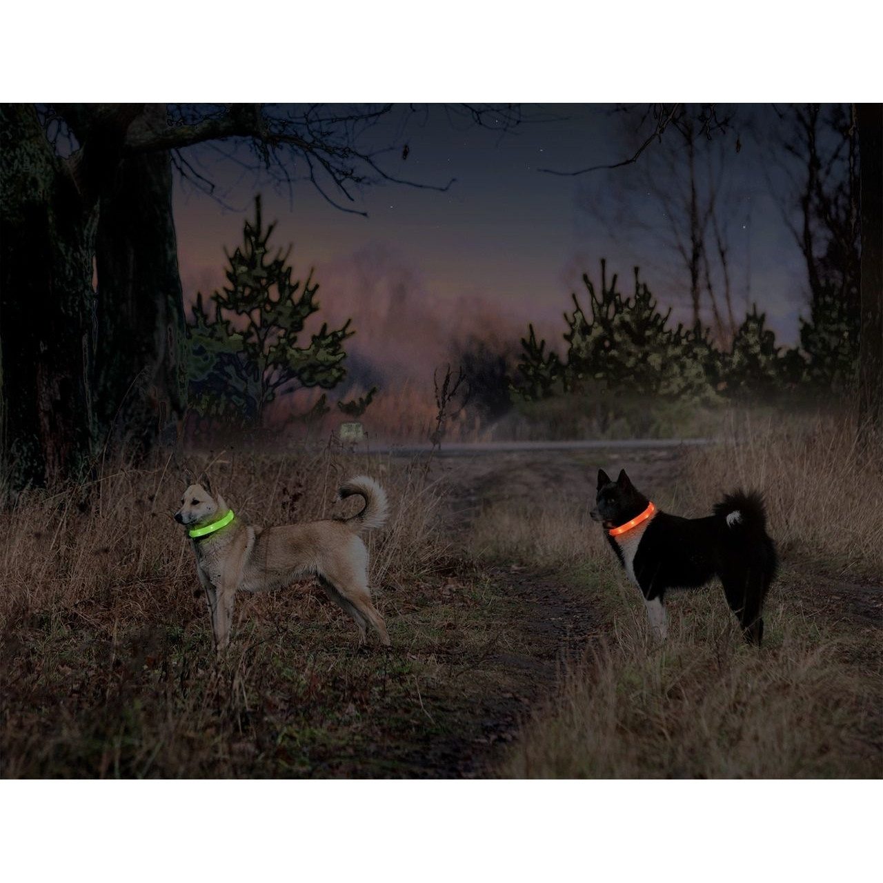 Karlie Leuchthalsband Visio Light LED Langhaar, Kunststoff
