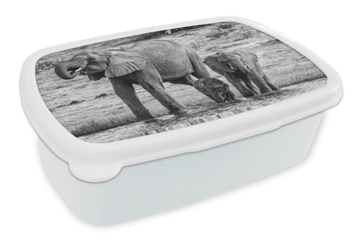 MuchoWow Lunchbox Elefant - Wasser - Tiere - Schwarz - Weiß, Kunststoff, (2-tlg), Brotbox für Kinder und Erwachsene, Brotdose, für Jungs und Mädchen