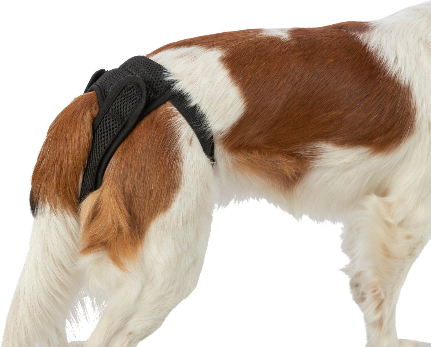 TRIXIE Hundewindel Schutzhöschen Comfort - schwarz