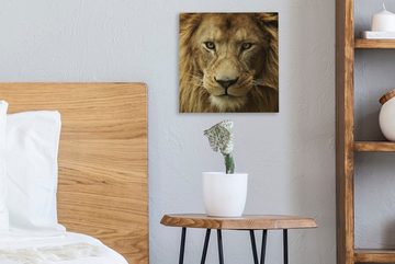 OneMillionCanvasses® Leinwandbild Porträt - Afrika - Löwe, (1 St), Leinwand Bilder für Wohnzimmer Schlafzimmer