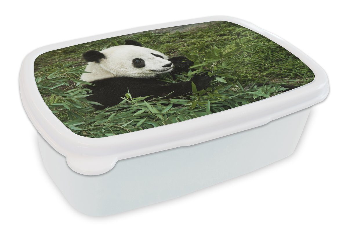 MuchoWow Lunchbox Panda - Bambus - Pflanze, Kunststoff, (2-tlg), Brotbox für Kinder und Erwachsene, Brotdose, für Jungs und Mädchen weiß