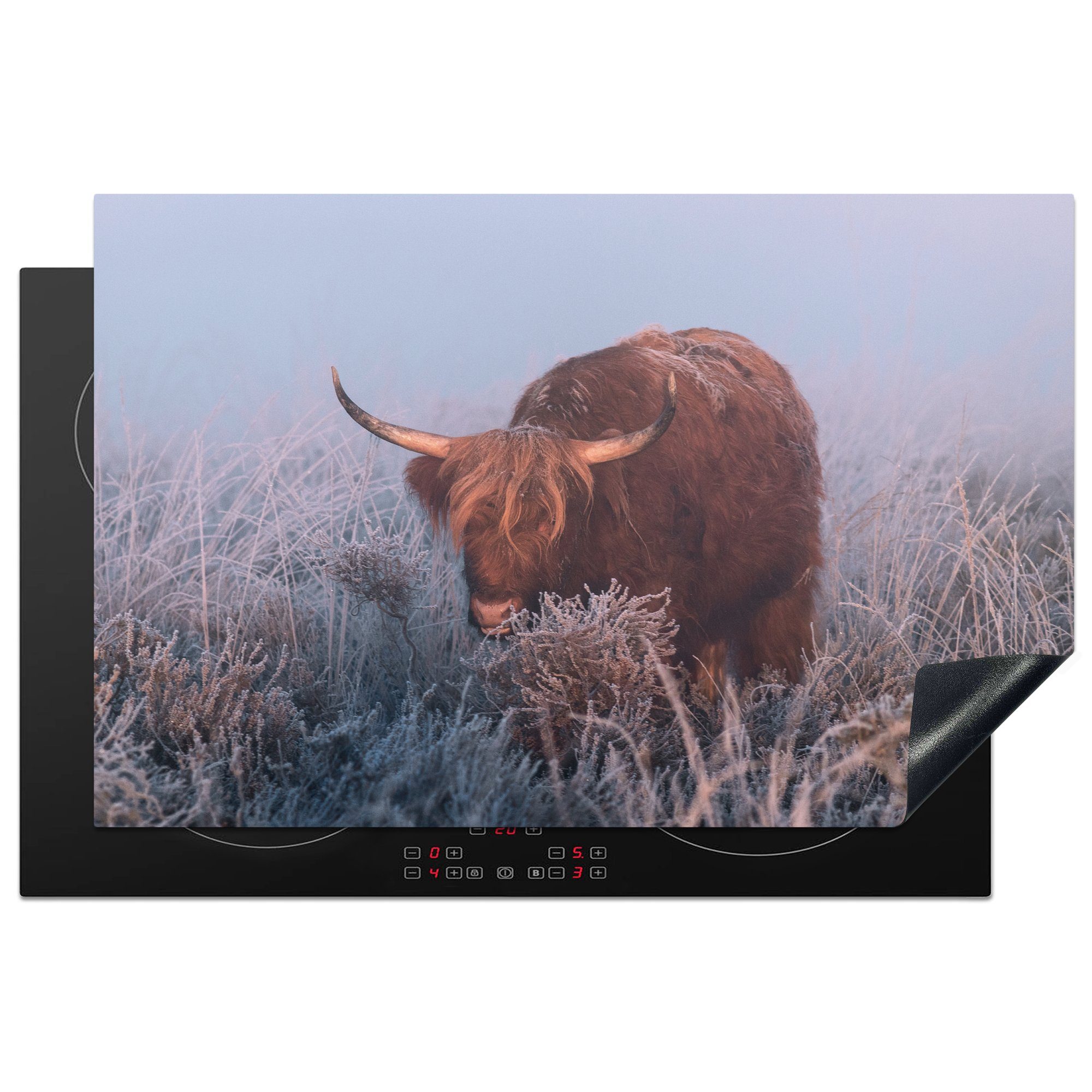 MuchoWow Herdblende-/Abdeckplatte Schottische Highlander - Nebel - Winter, Vinyl, (1 tlg), 81x52 cm, Induktionskochfeld Schutz für die küche, Ceranfeldabdeckung