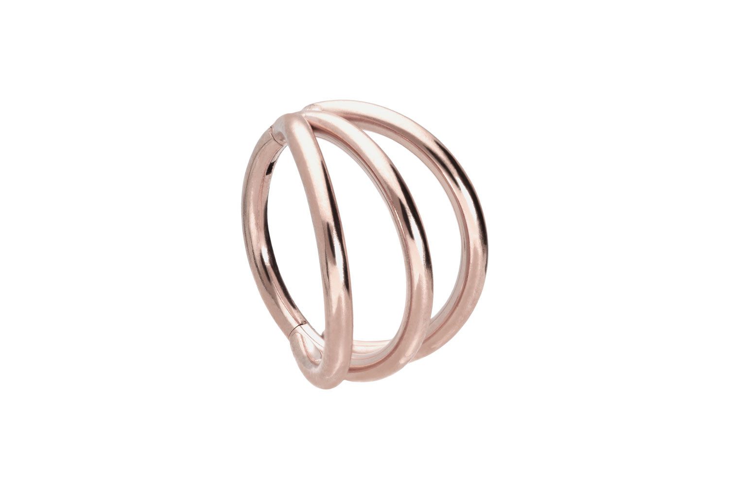 Nasenpiercing Titan Segmentring Clicker 3 RINGE Ohrpiercing Septum Nase