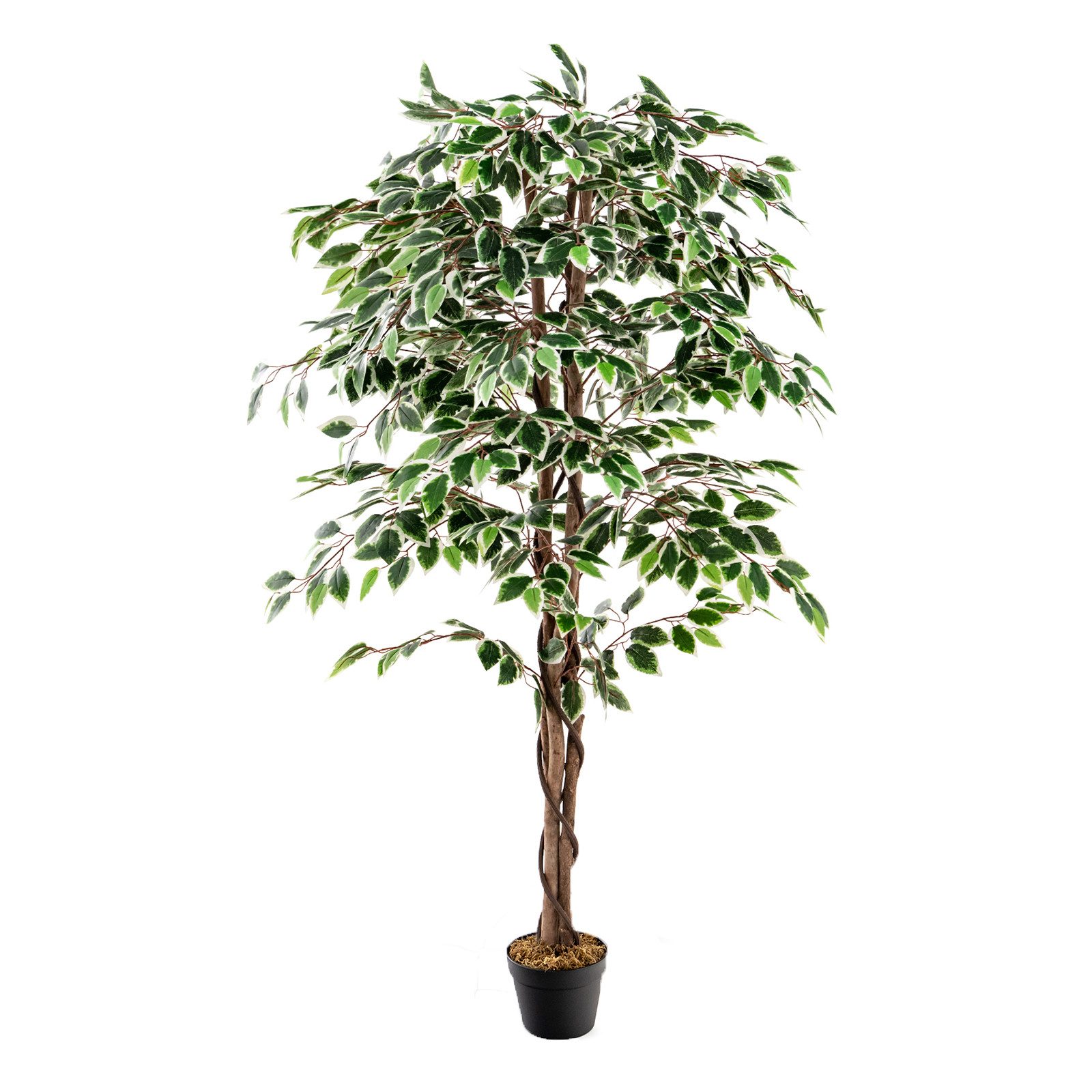 Kunstpflanze Ficus Benjamin, KOMFOTTEU, Höhe 160 cm, 1008 Blättern, 160 cm