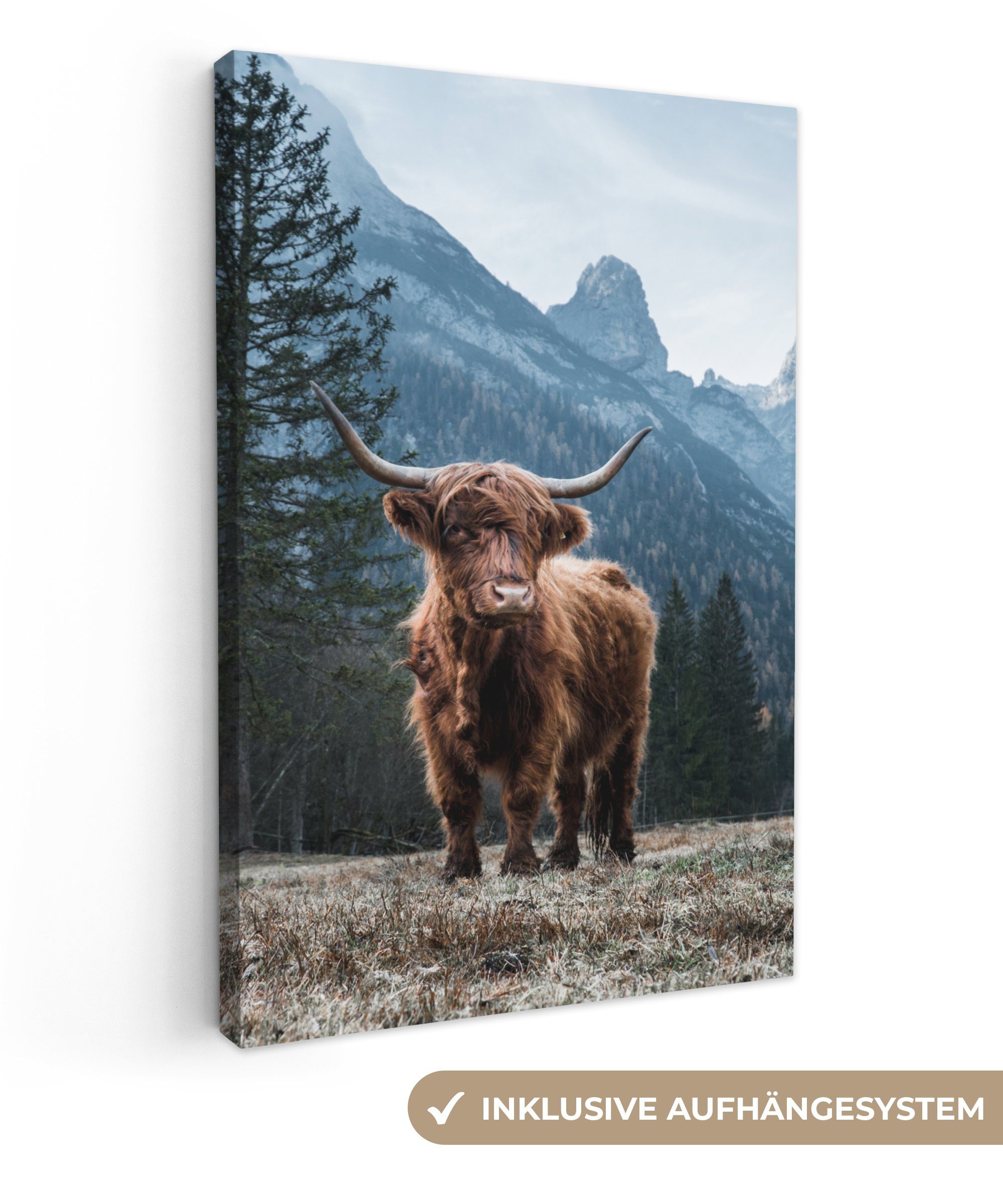 OneMillionCanvasses® Leinwandbild Schottische Highlander - Berg - Landschaf günstig online kaufen