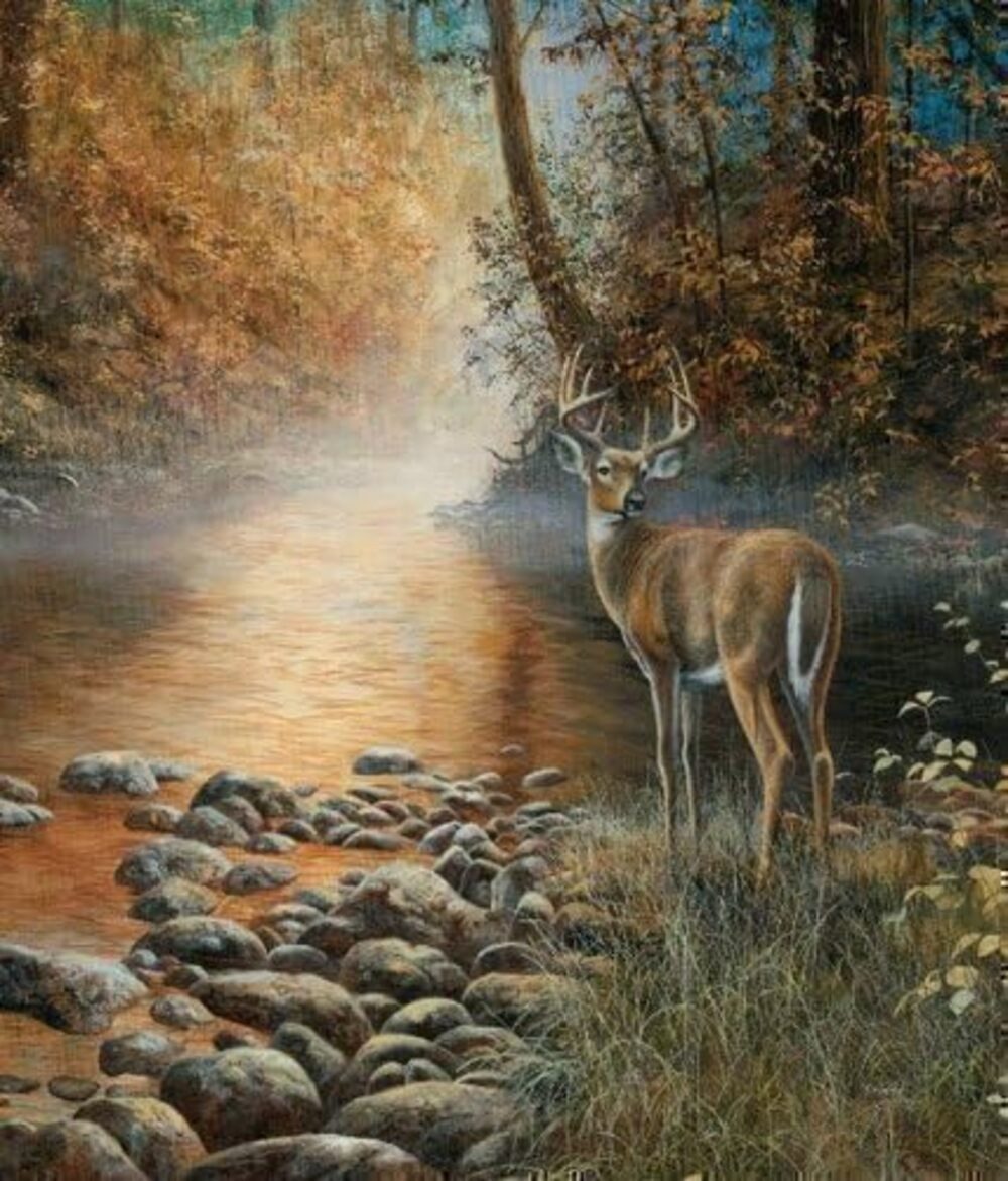 LikeKa Duschvorhang aus Stoff 180x180 cm günstig online kaufen