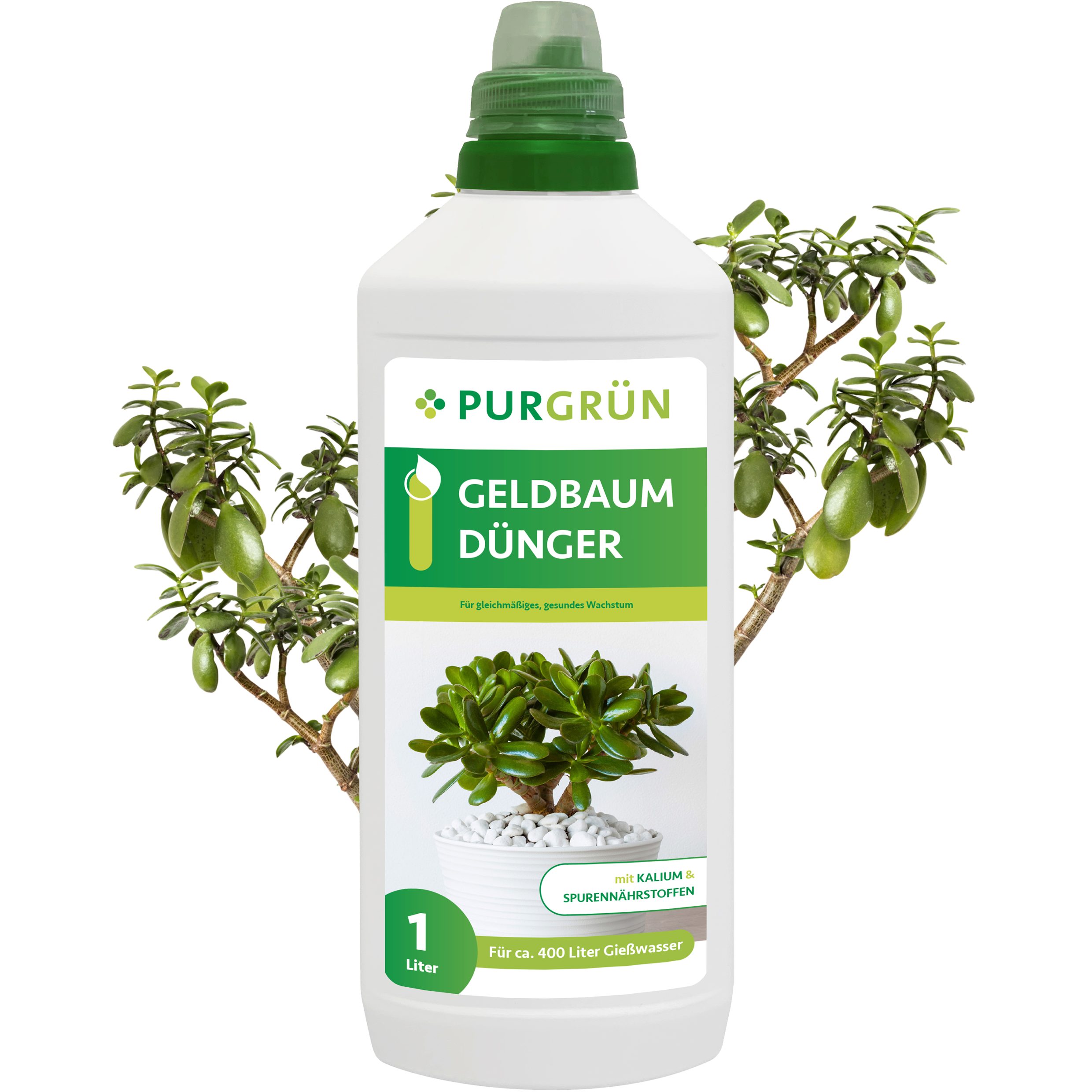 Purgrün Universaldünger Geldbaum Dünger, NPK 3+5+7, Kalium gegen Trockenstr günstig online kaufen