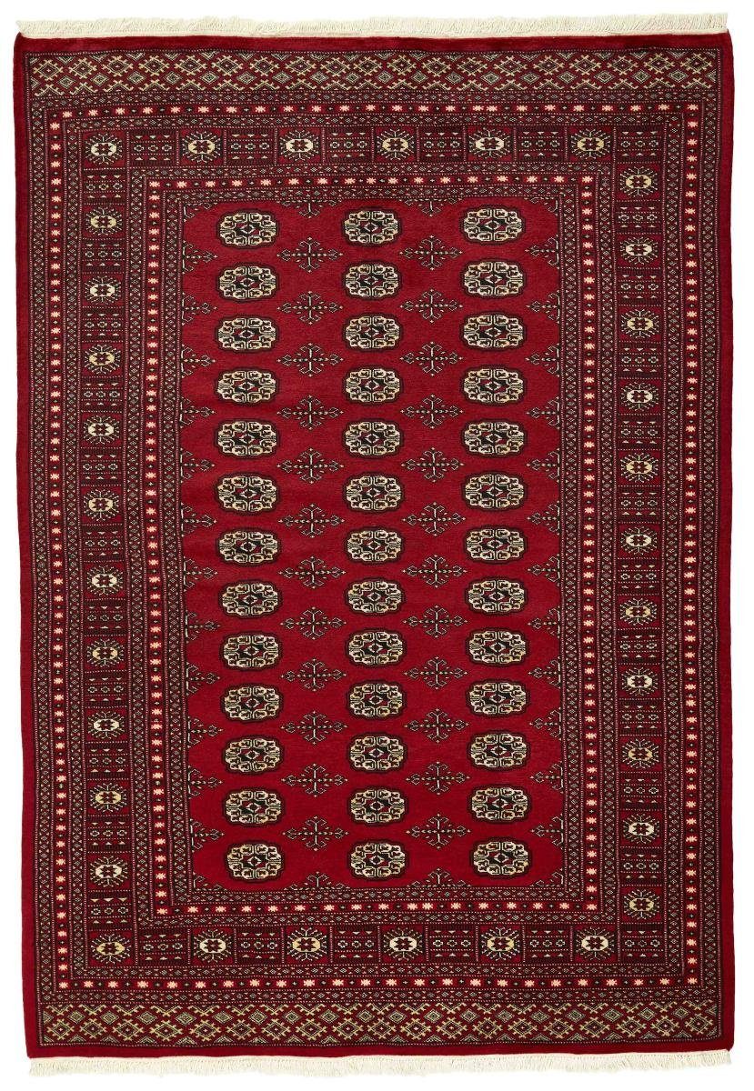 Orientteppich Pakistan Buchara Orientteppich, mm Trading, Handgeknüpfter 170x243 Höhe: 2ply 8 rechteckig, Nain