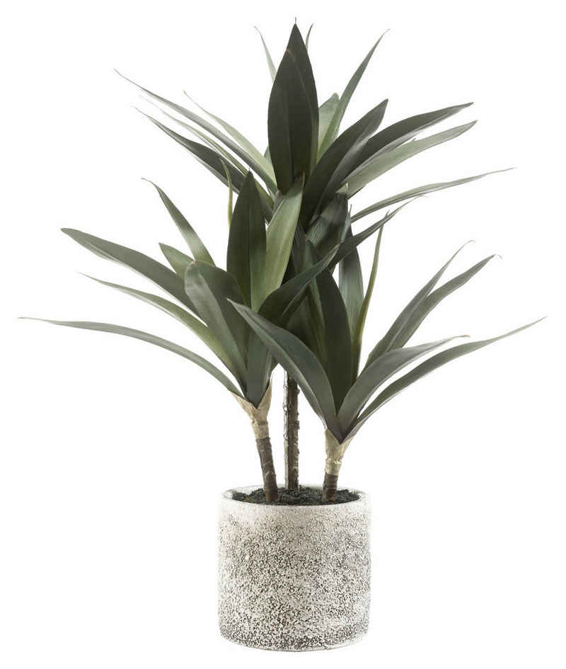 Kunstpflanze SIAS, Palme, Grün, Beige, Kunststofftopf Palme, casa NOVA, Höhe 43 cm