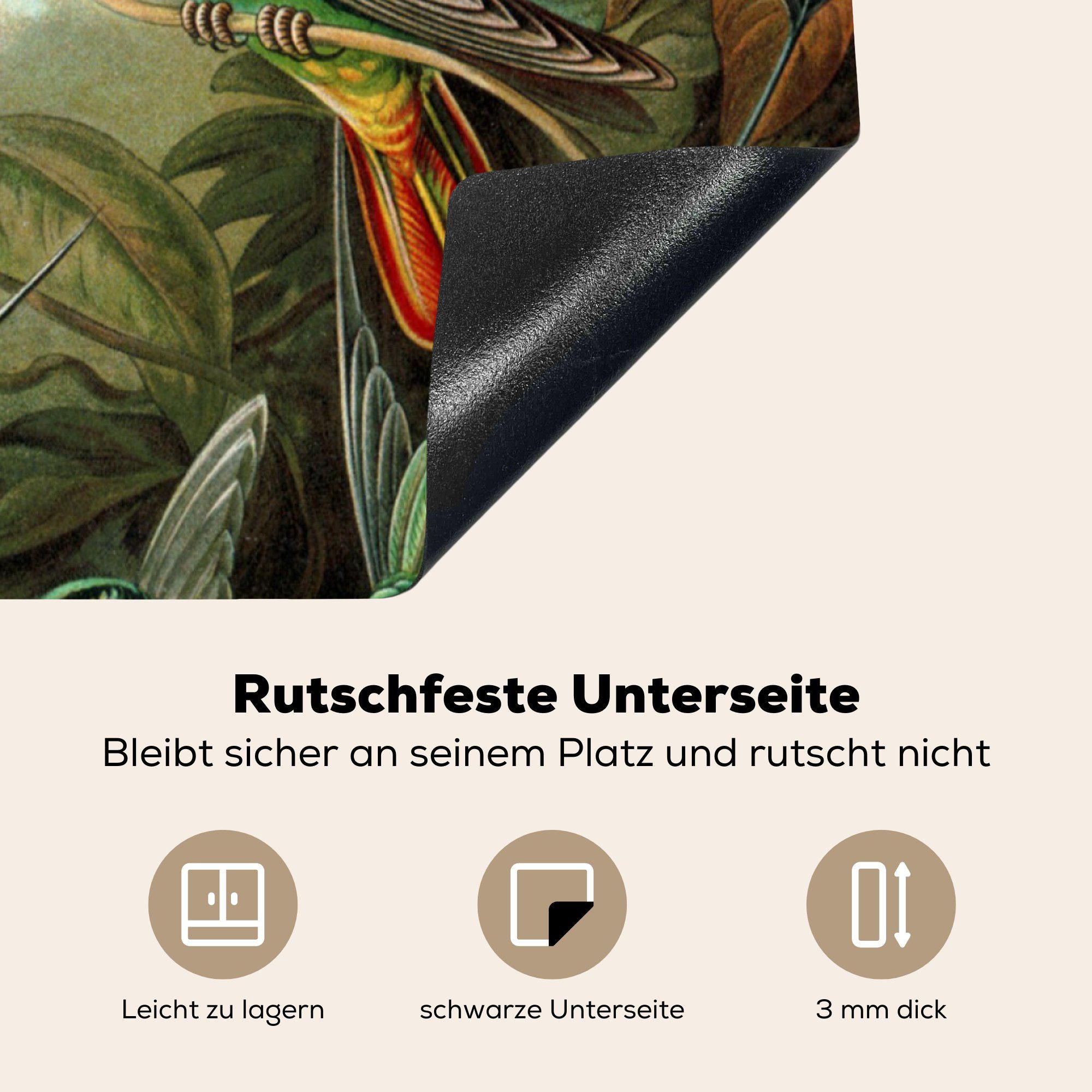 MuchoWow Herdblende-/Abdeckplatte - Vinyl, Ernst Vogel, 78x78 Ceranfeldabdeckung, Haeckel für (1 Arbeitsplatte Trochilidae küche cm, - tlg)