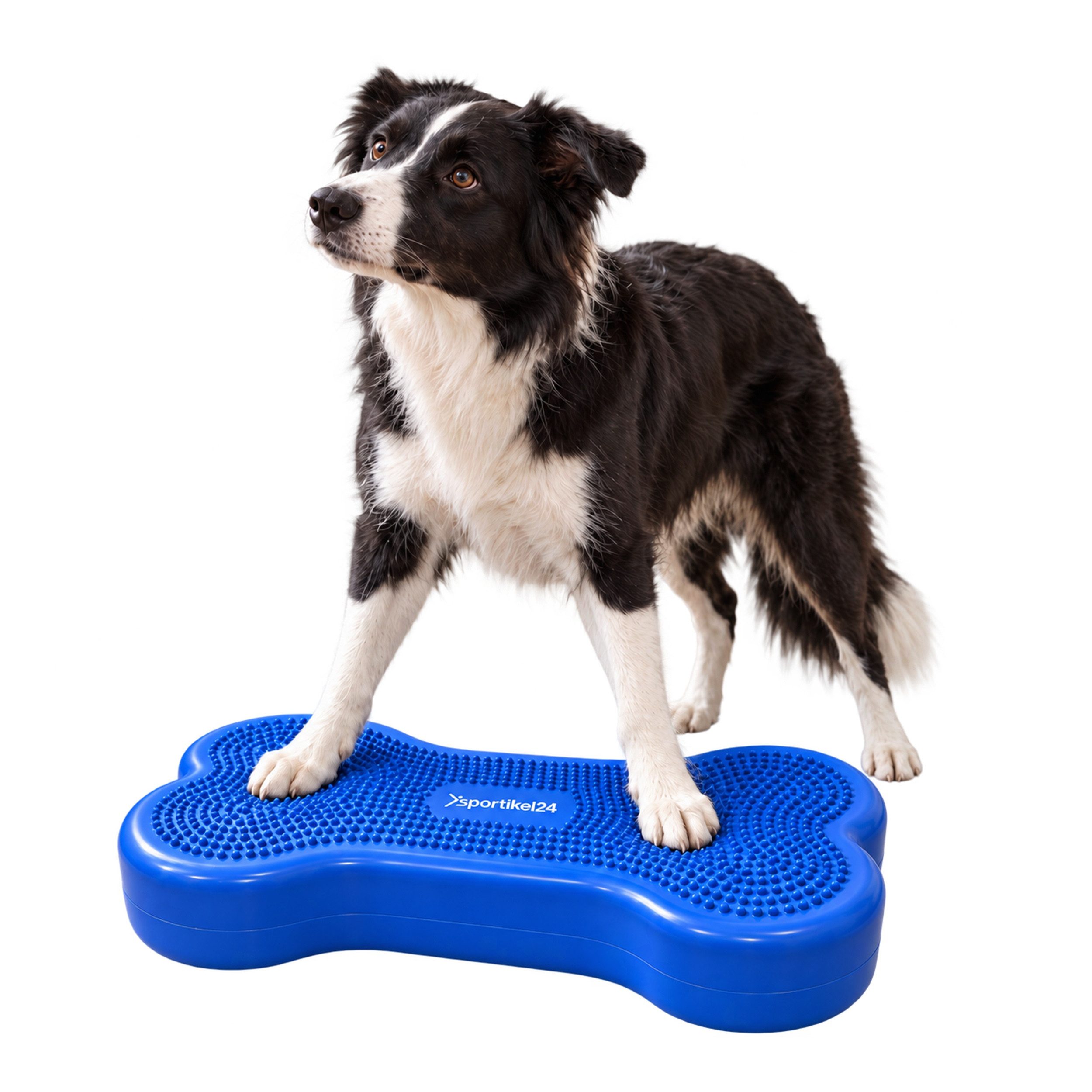 Superhund Balancetrainer Balance-Knochen für Hunde – Medium Komplettset – Blau + Pumpe