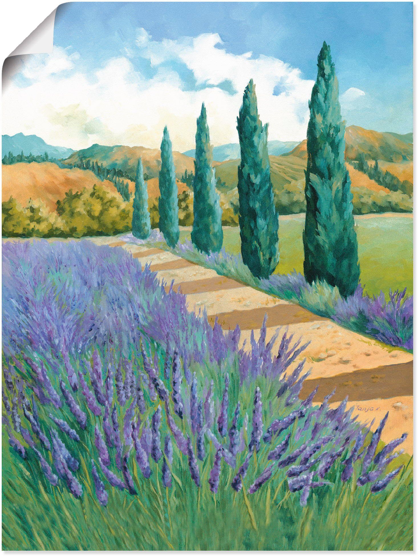 Artland Wandbild Weg durchs Lavendelfeld, Felder (1 St), als Alubild, Leinwandbild, Wandaufkleber oder Poster in versch. Größen | Poster
