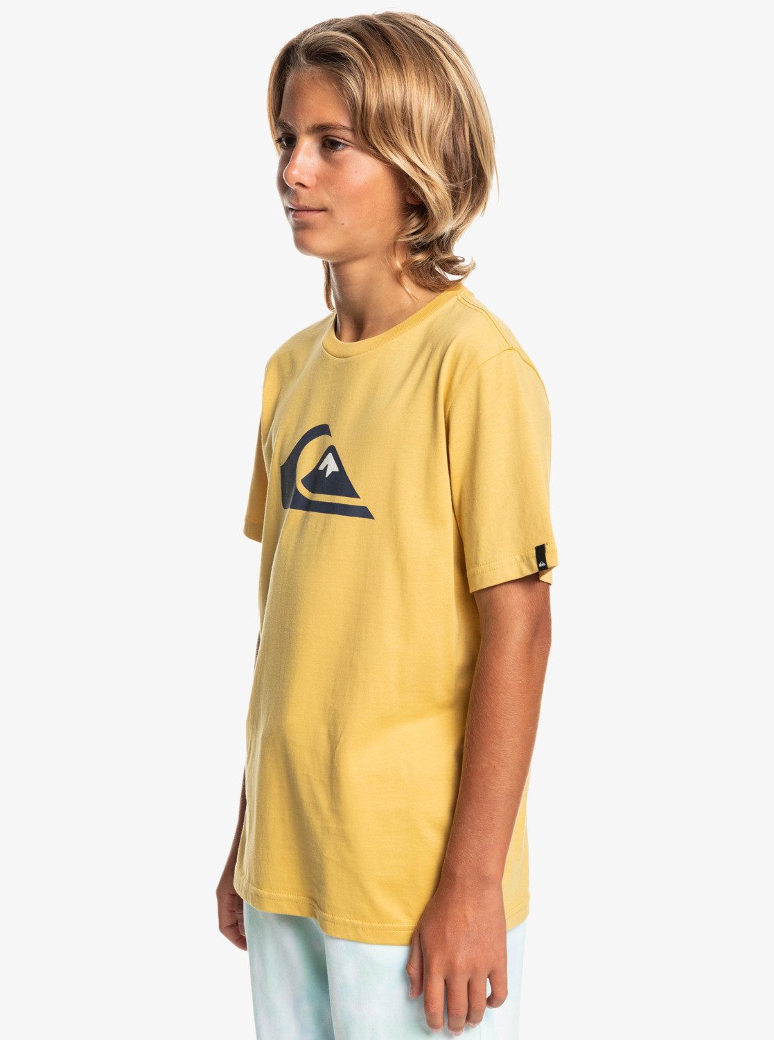Quiksilver Logo Rattan Comp T-Shirt