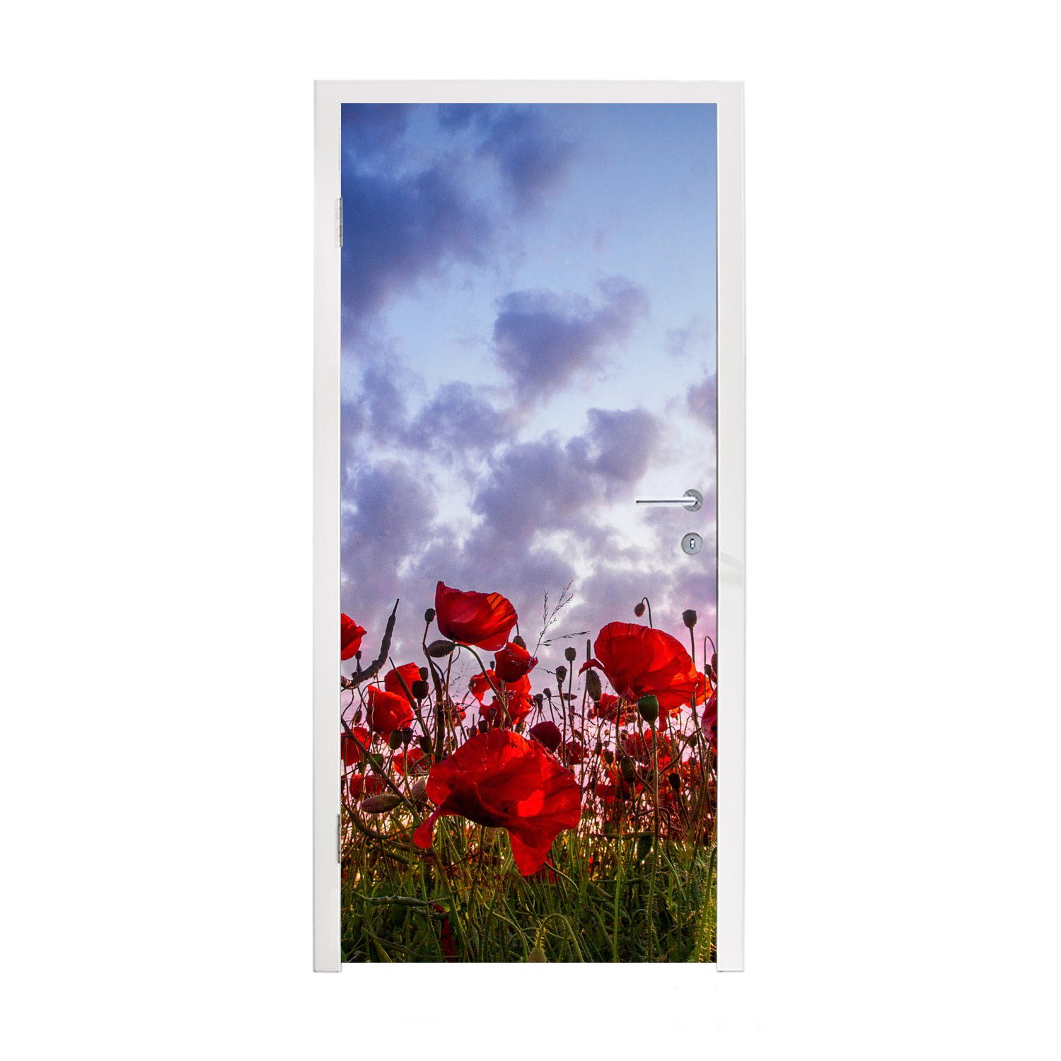 MuchoWow Türtapete Mohnblumen - Fototapete cm (1 75x205 Tür, Türaufkleber, - Sonnenuntergang St), für Frühling, bedruckt, Matt