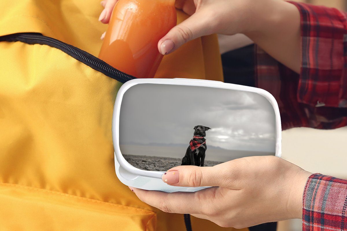 MuchoWow Lunchbox Hund Brotbox für Erwachsene, für - Brotdose, - weiß Wolke, Jungs und Mädchen Kinder Kunststoff, und (2-tlg), Strand