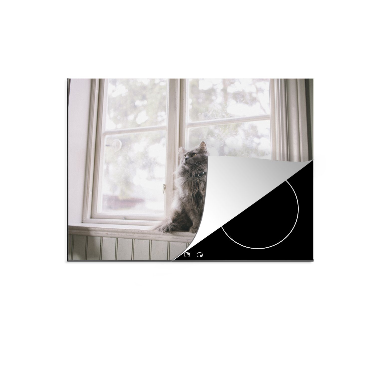 MuchoWow Herdblende-/Abdeckplatte Maine Coon Cat sitzt auf der Fensterbank, Vinyl, (1 tlg), 71x52 cm, Induktionskochfeld Schutz für die küche, Ceranfeldabdeckung