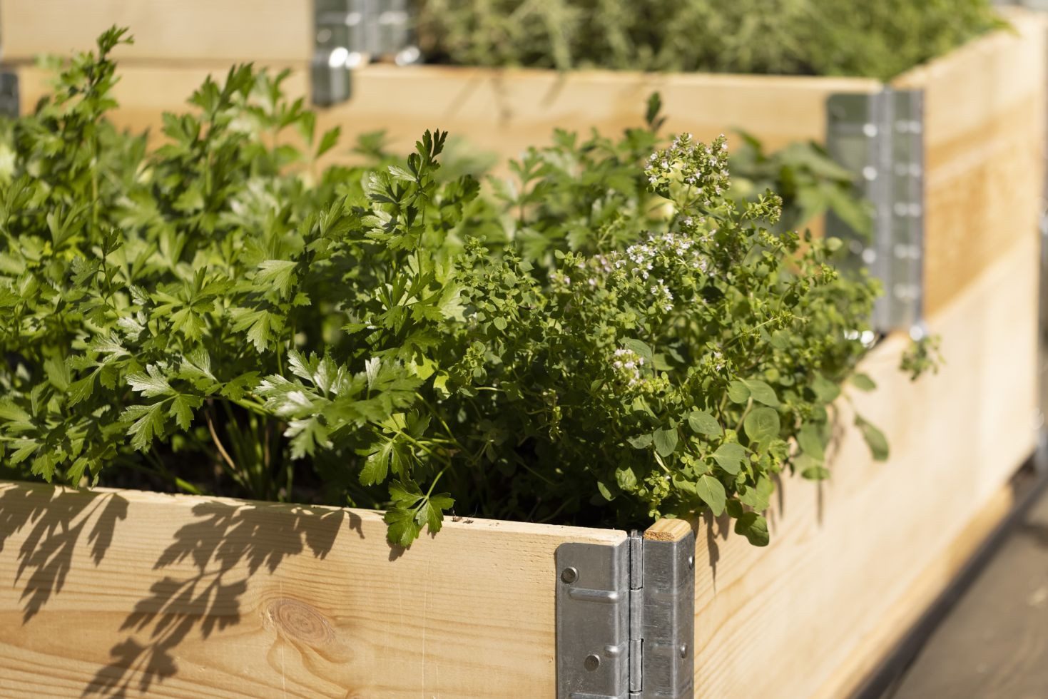 Upyard Hochbeet Upyard Palettenrahmen Hochbeet 3er-Set 120 x 80 cm