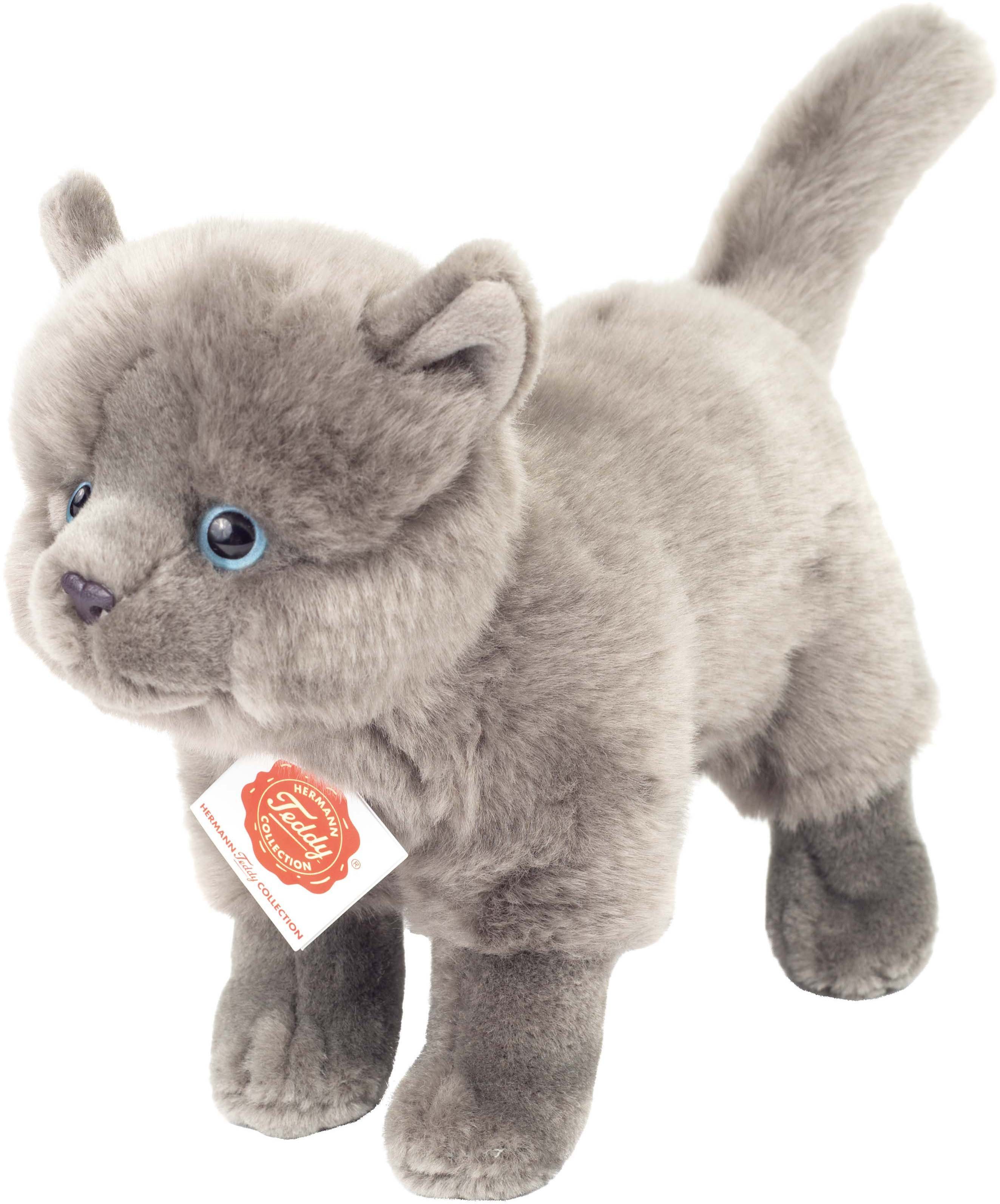 Kuscheltier Kartäuser Katze 20 cm