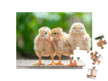 puzzleYOU Puzzle Drei süße Küken, 48 Puzzleteile, puzzleYOU-Kollektionen Hühner & Küken