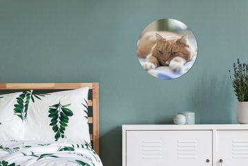 MuchoWow Gemälde Katze - Bett - Tagesdecke - Mädchen - Kinder - Kinder - Kind, (1 St), Kreis Wanddekoration Forex, Rundes Wandbild, Wohnzimmer, 30x30 cm